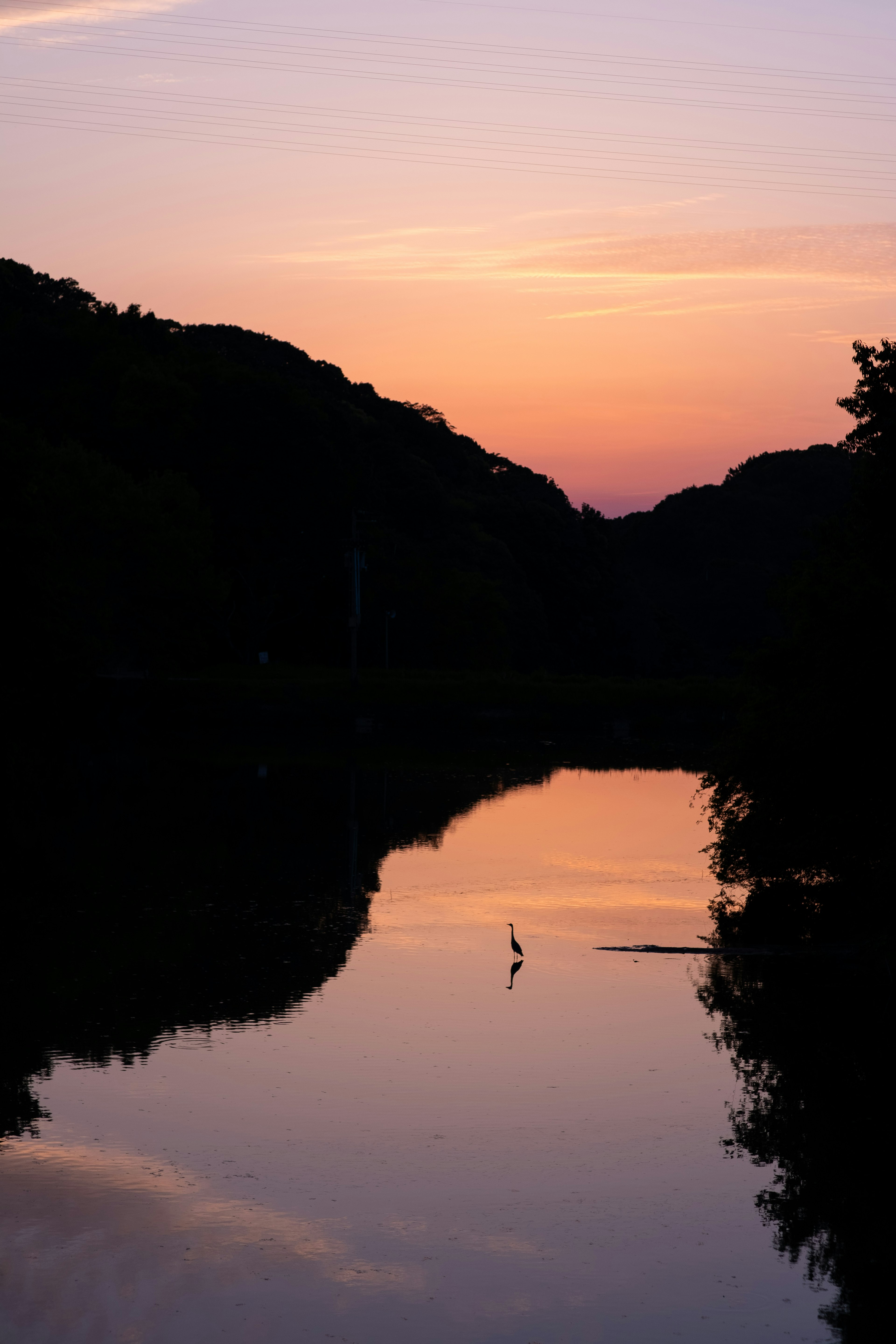 Paysage de rivière paisible au coucher du soleil avec silhouettes