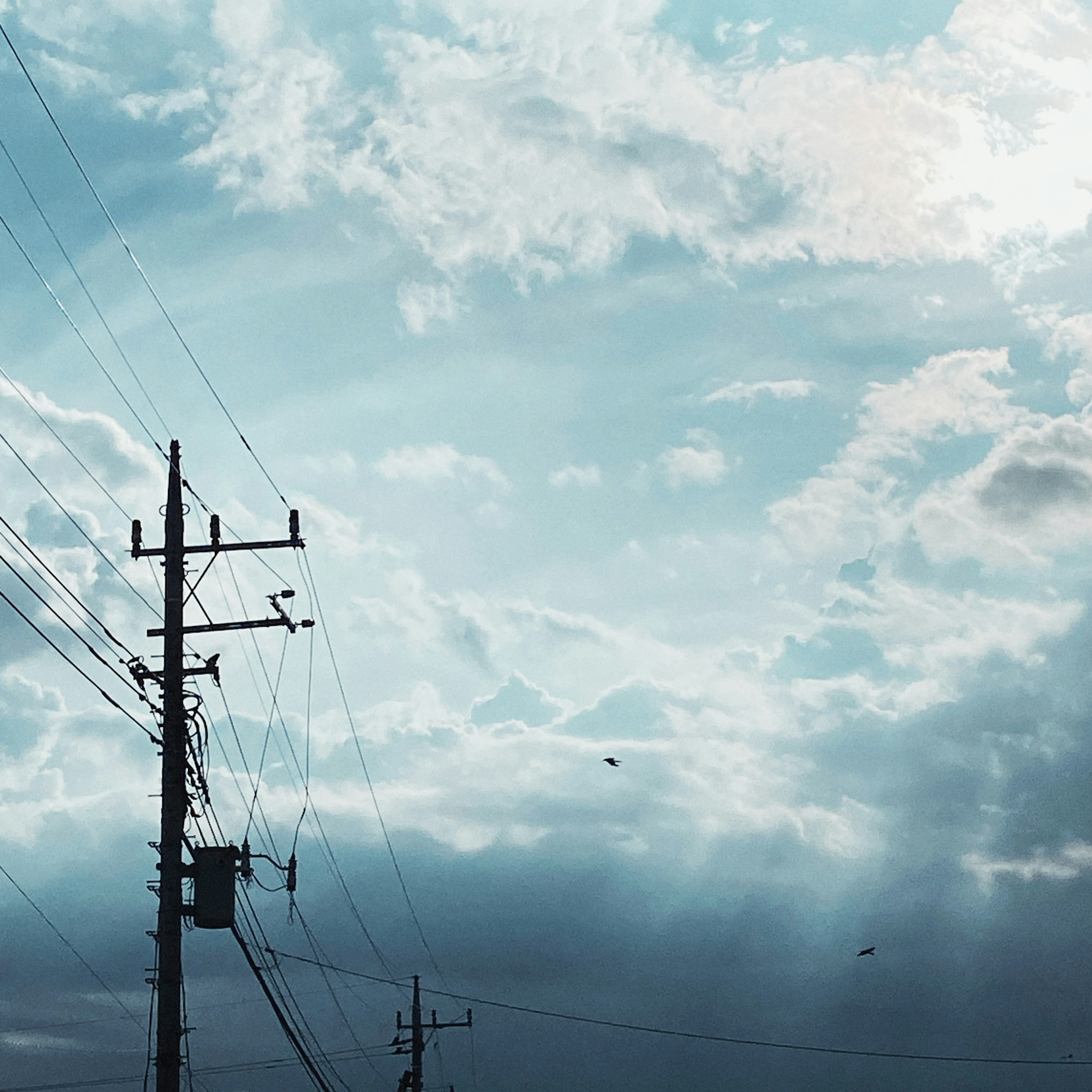 青空と白い雲が広がる背景に電柱が立っている風景