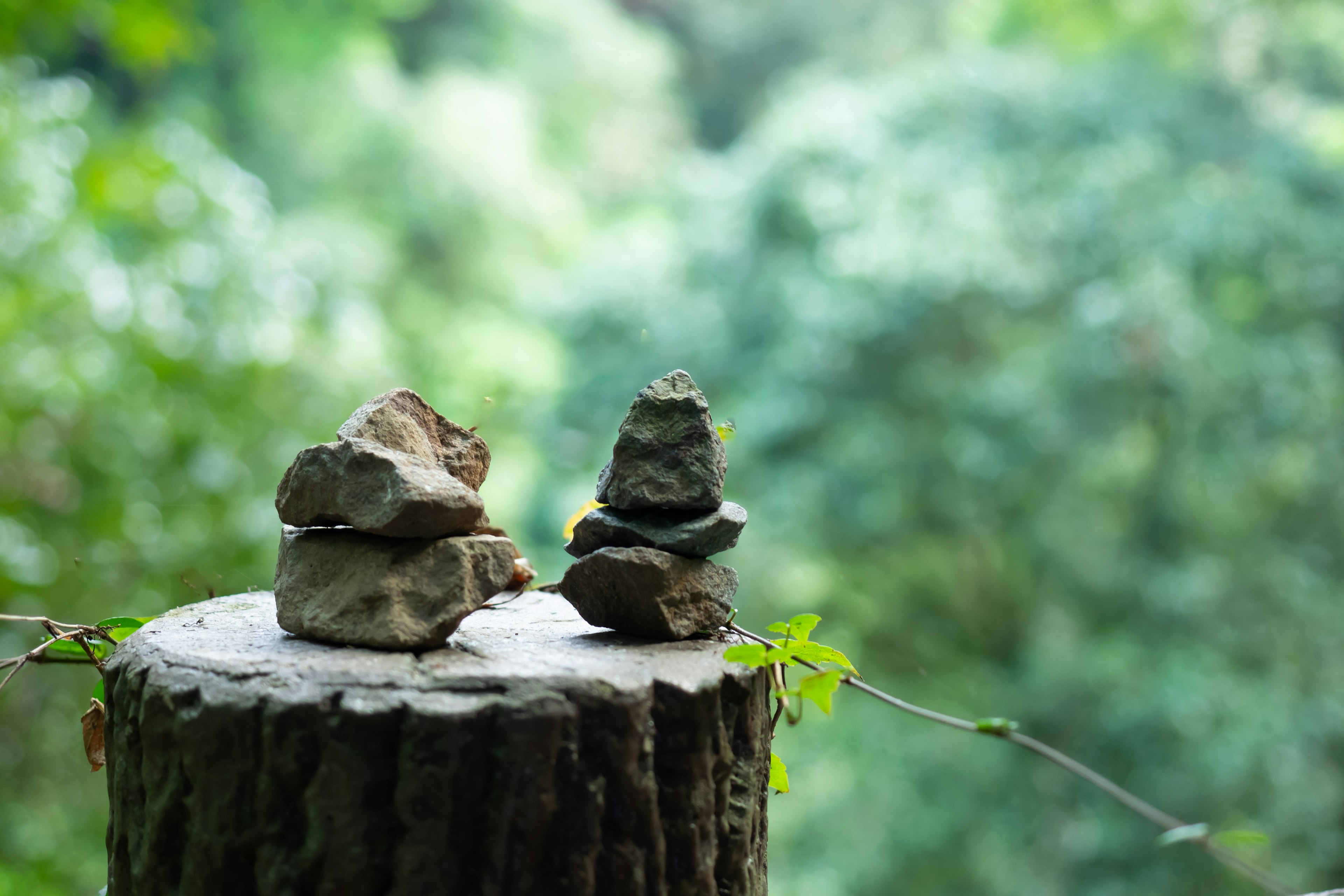 Piedras apiladas sobre un tocón de árbol con un fondo verde borroso