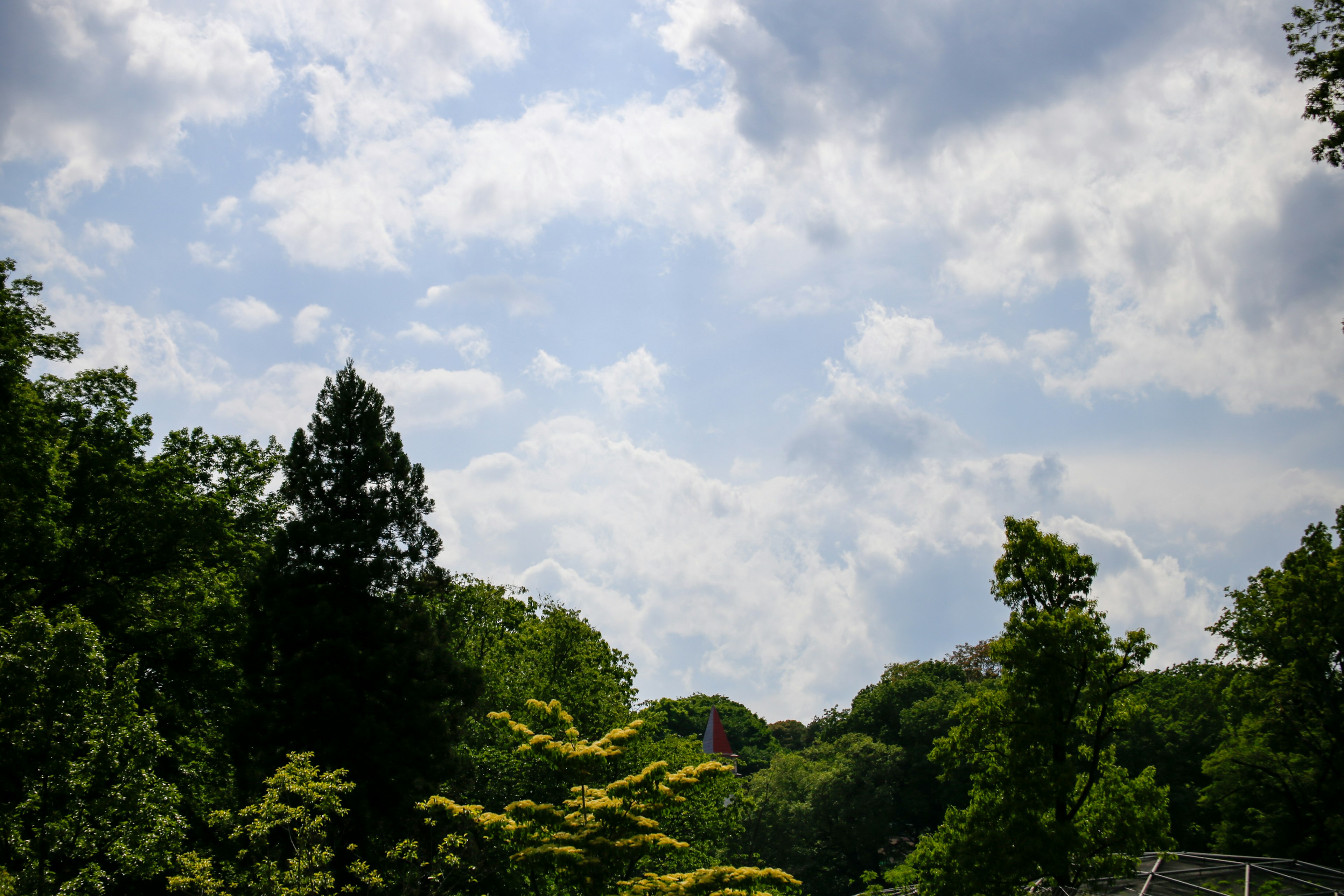 青空と雲が広がる緑豊かな風景