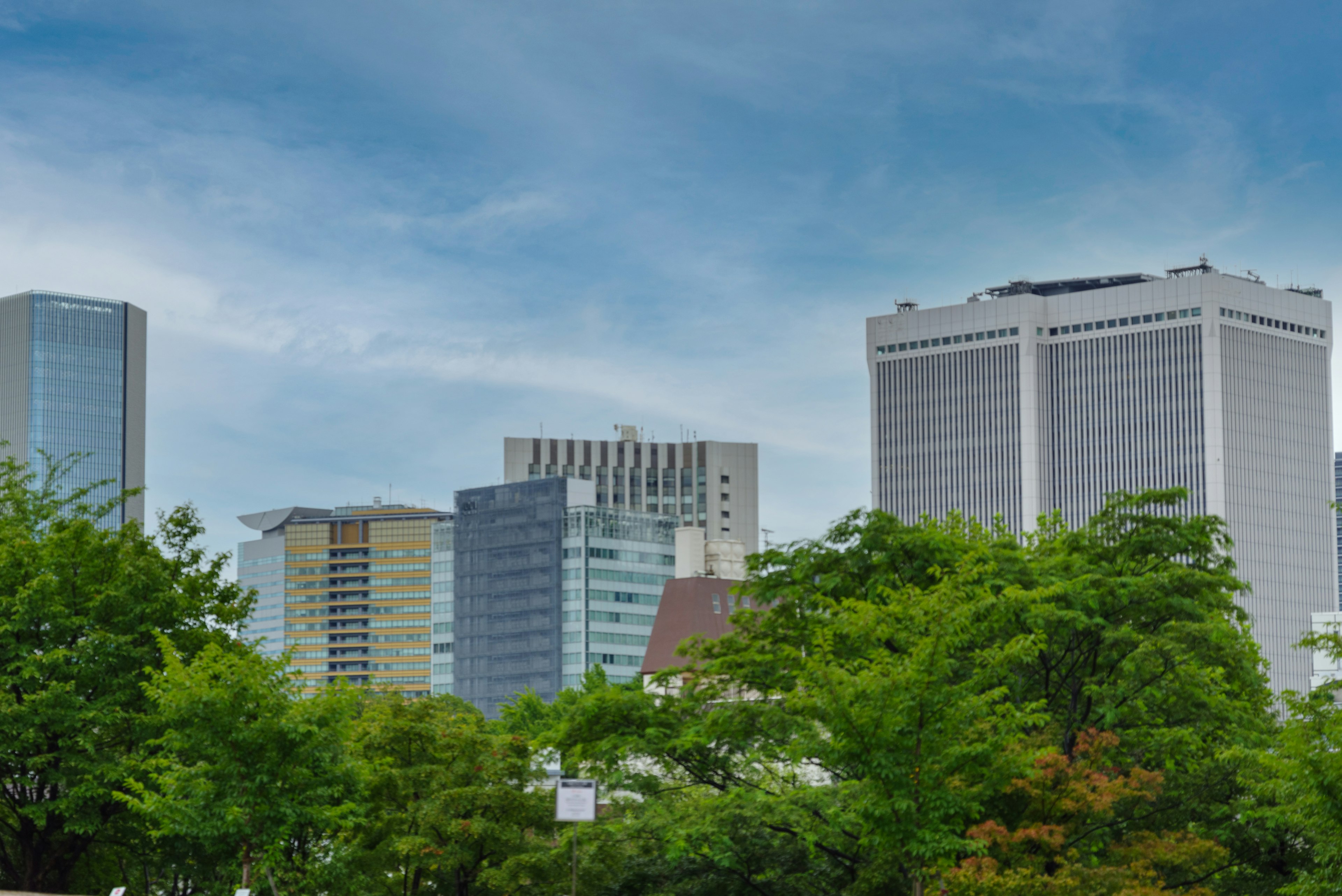 Paysage urbain avec des gratte-ciel et des arbres verts sous un ciel bleu