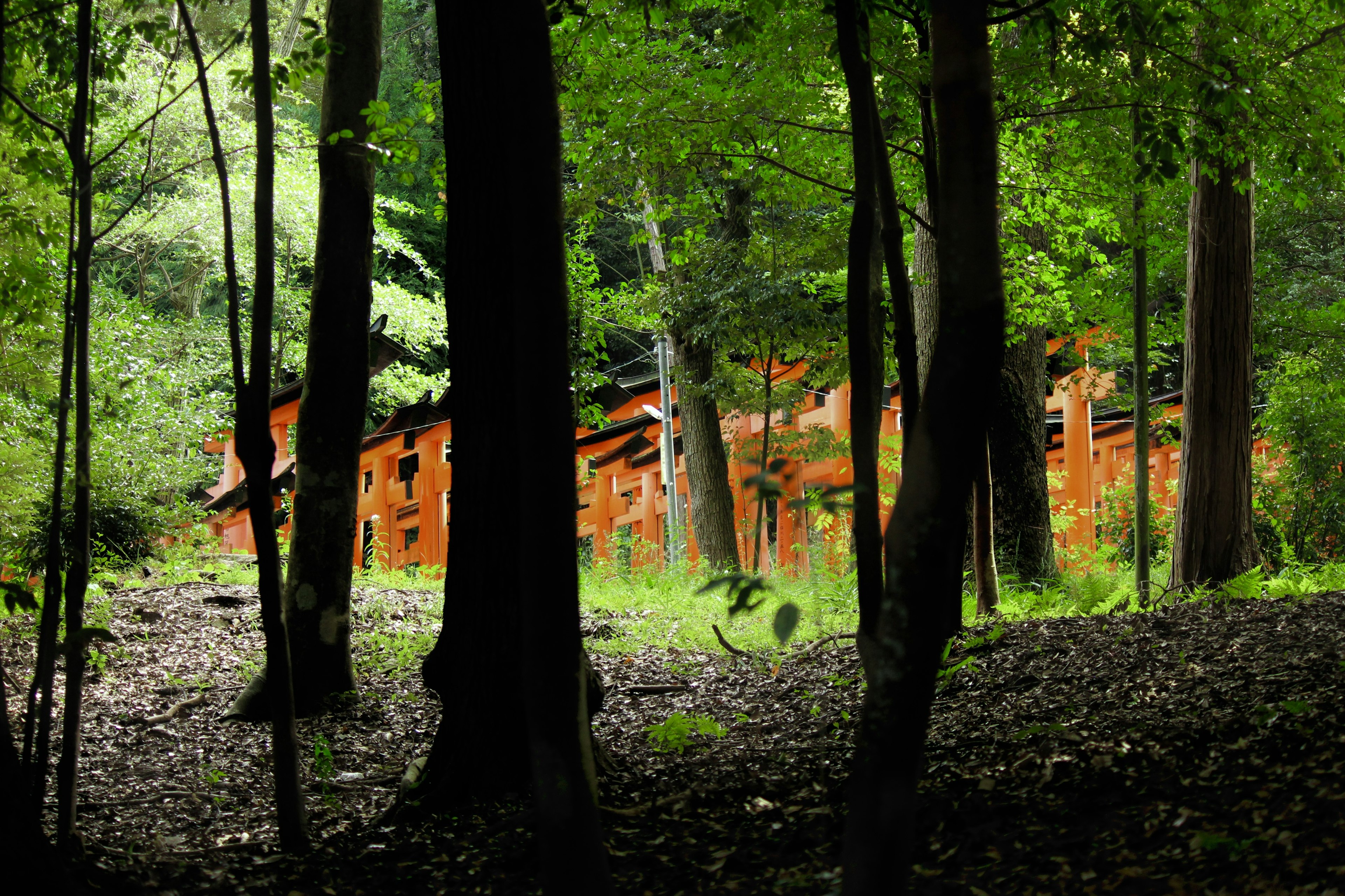 Gruppo di edifici rossi immersi tra alberi verdi lussureggianti