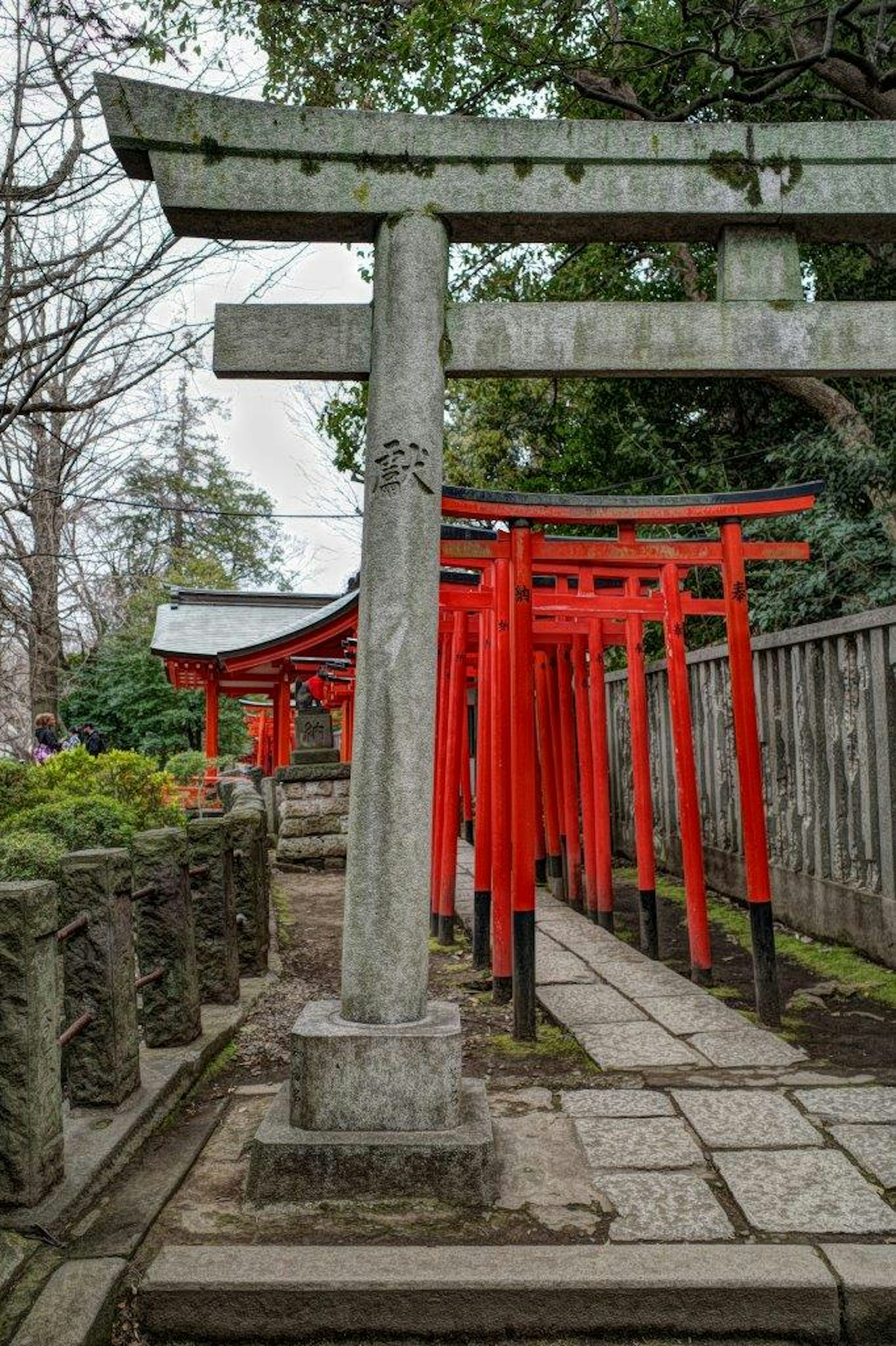 赤い鳥居と石の参道が続く神社の風景