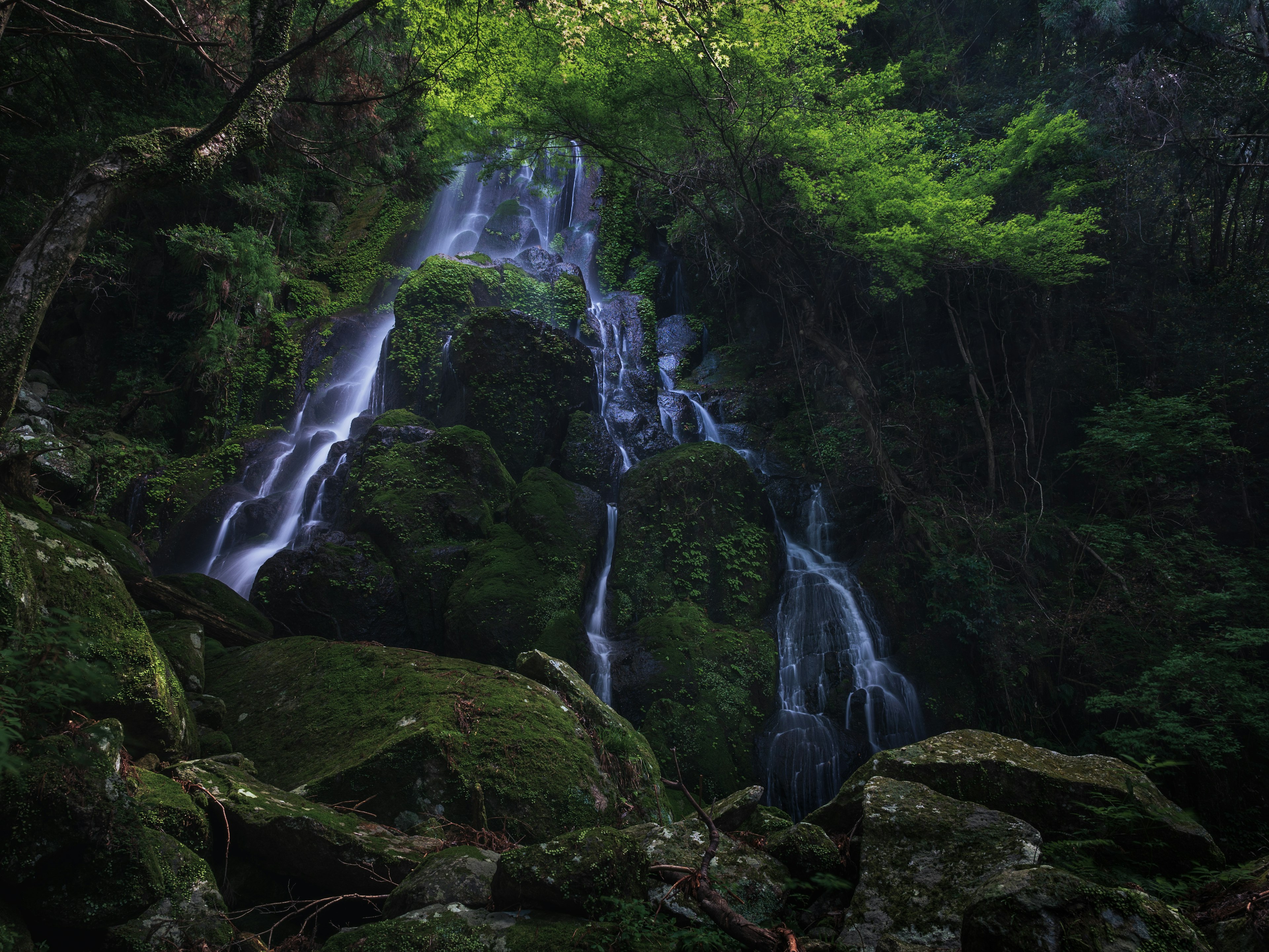 緑豊かな森林の中にある滝の景色岩と苔に覆われた