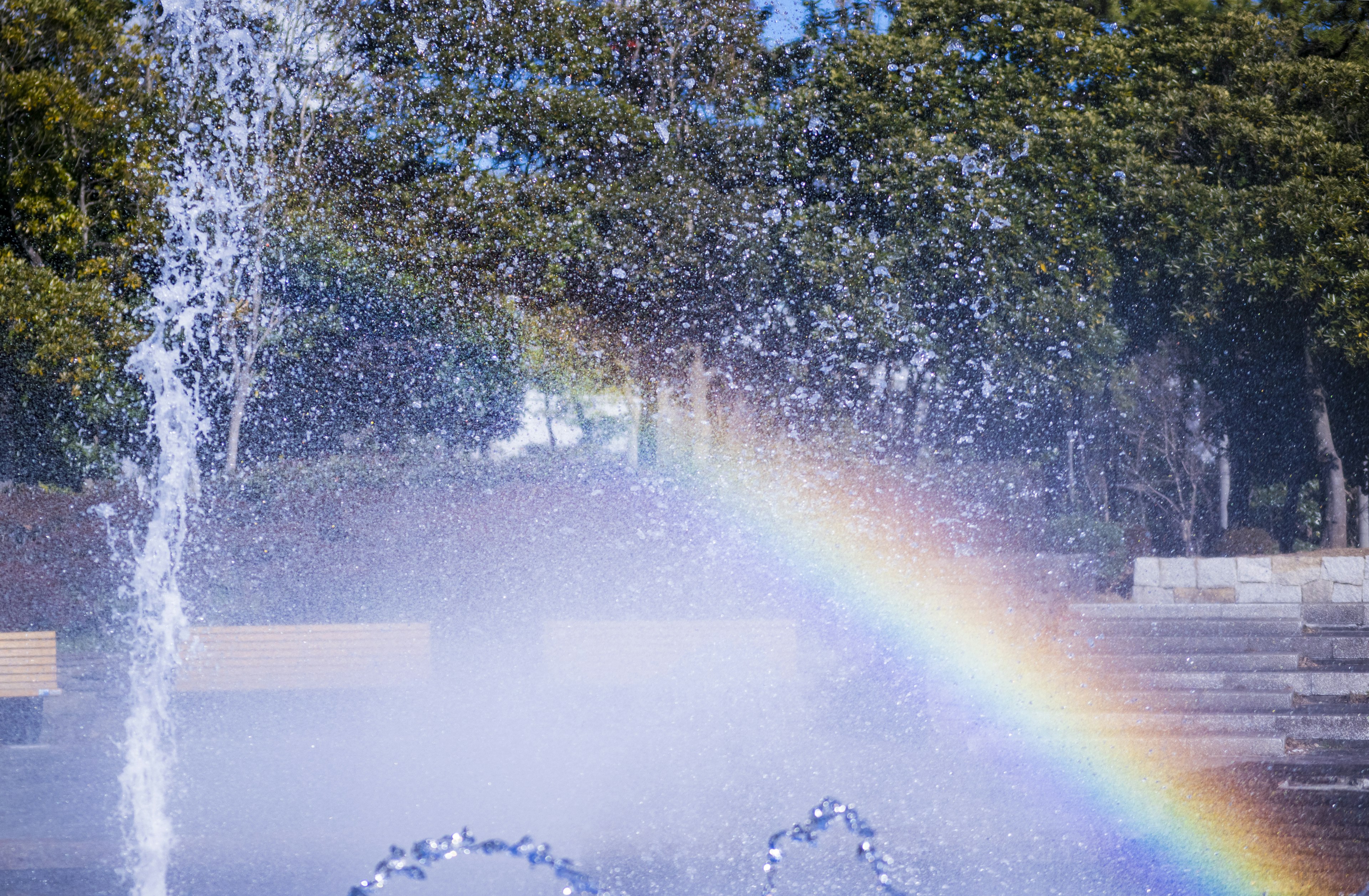 Eine schöne Parkszenen mit einem Brunnen, der Wasser spritzt, und einem lebhaften Regenbogen, der über den Himmel spannt