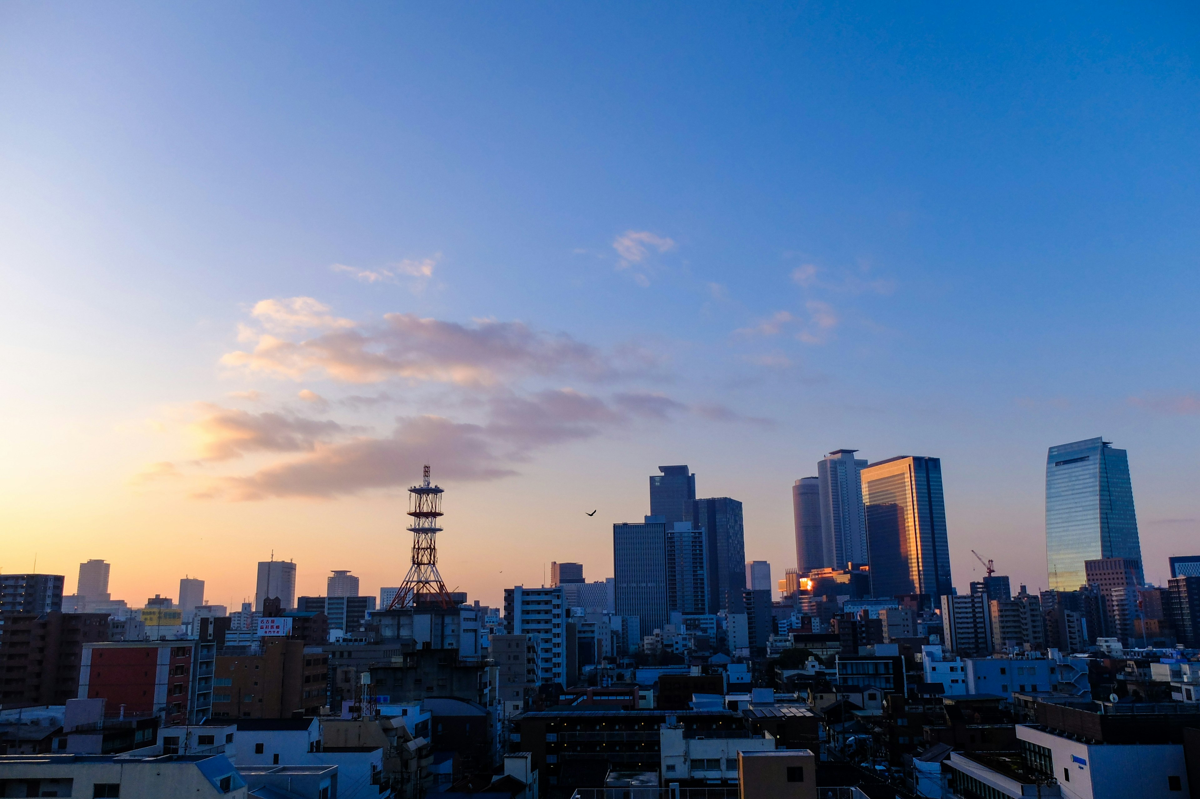 東京の夕暮れ時の美しい都市景観、高層ビルと東京タワーが見える