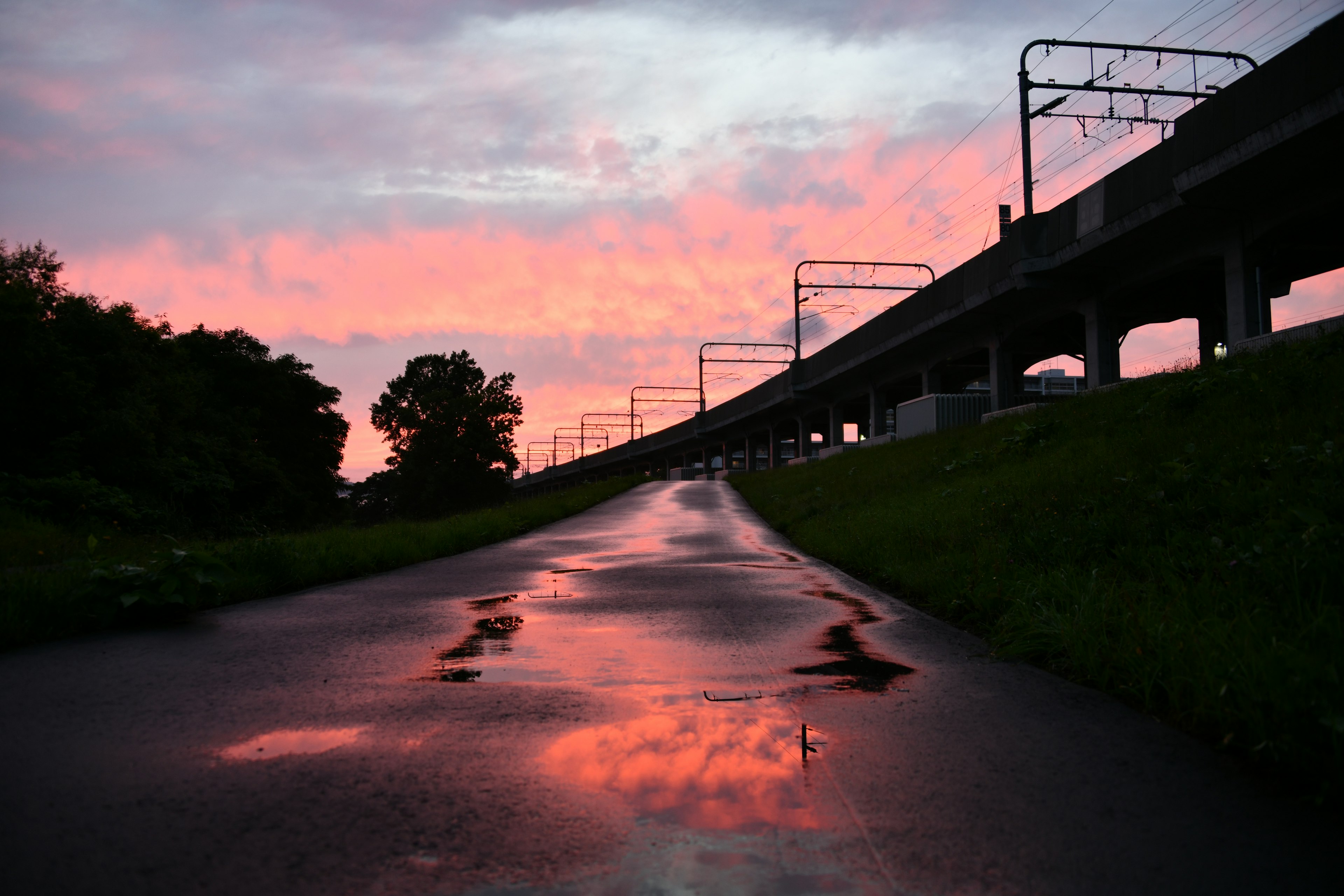 夕焼けの反射が見える舗装された道と高架鉄道