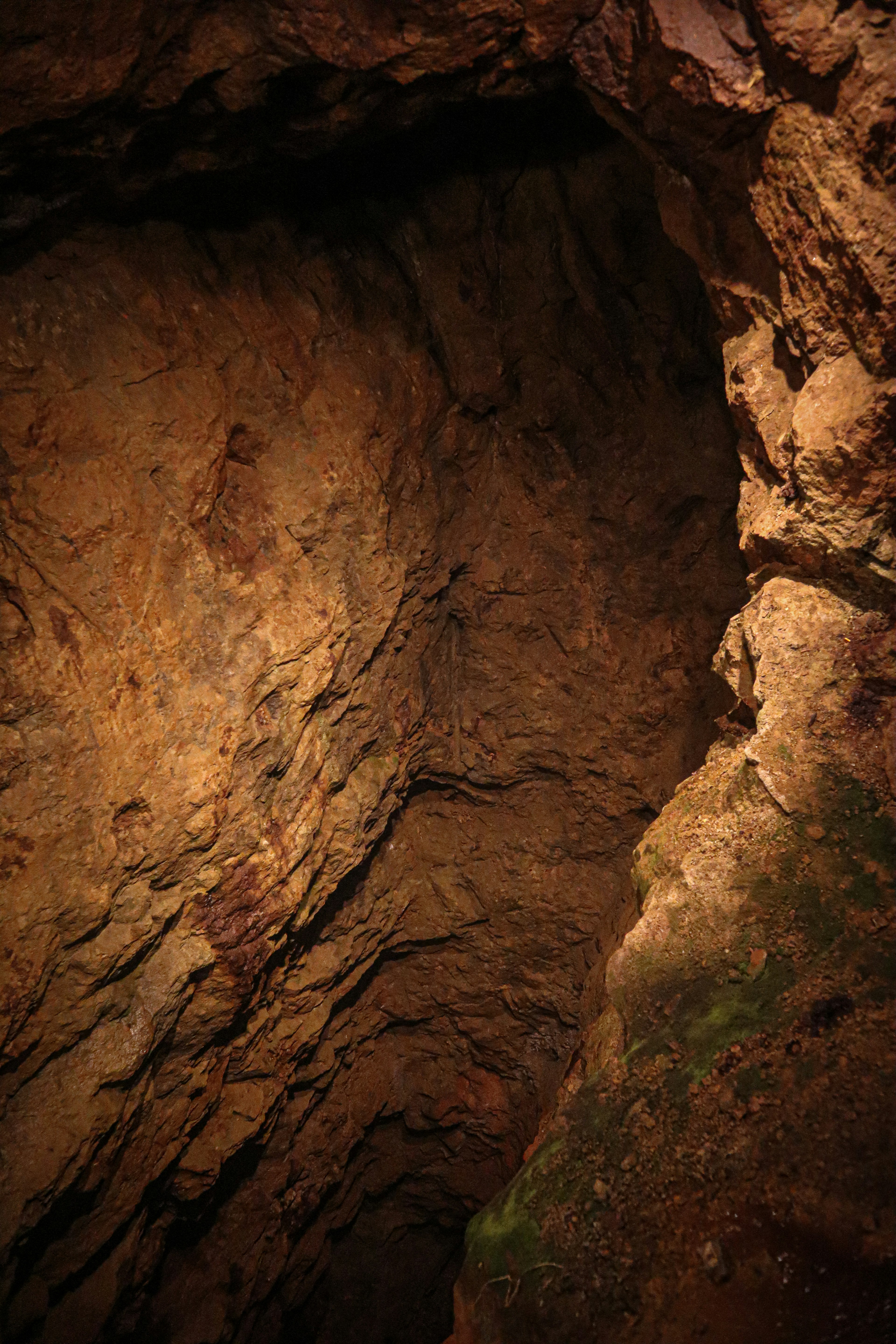 Interior de una cueva mostrando texturas y colores de rocas