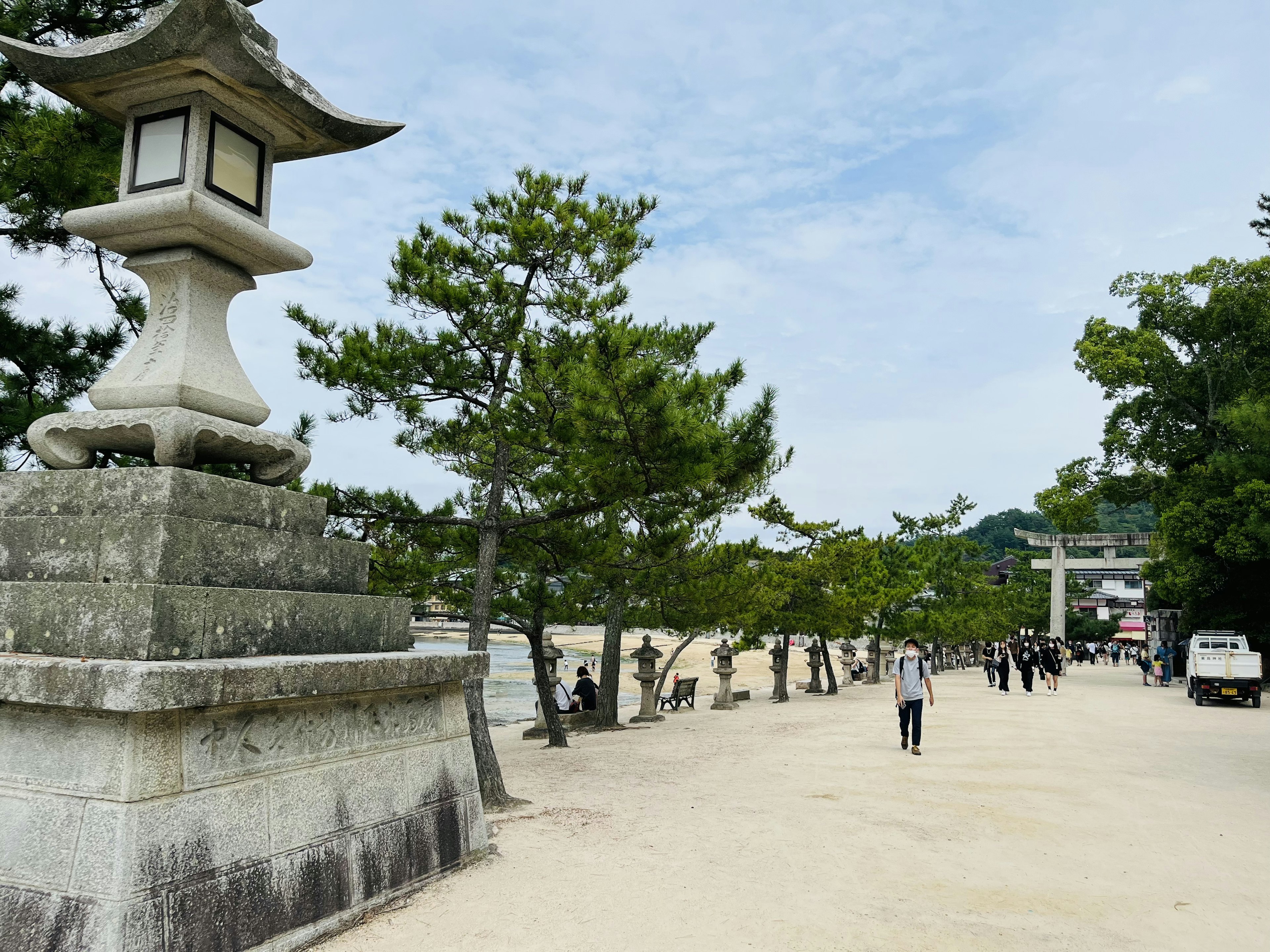 海辺の灯籠と緑の松の木が並ぶ風景