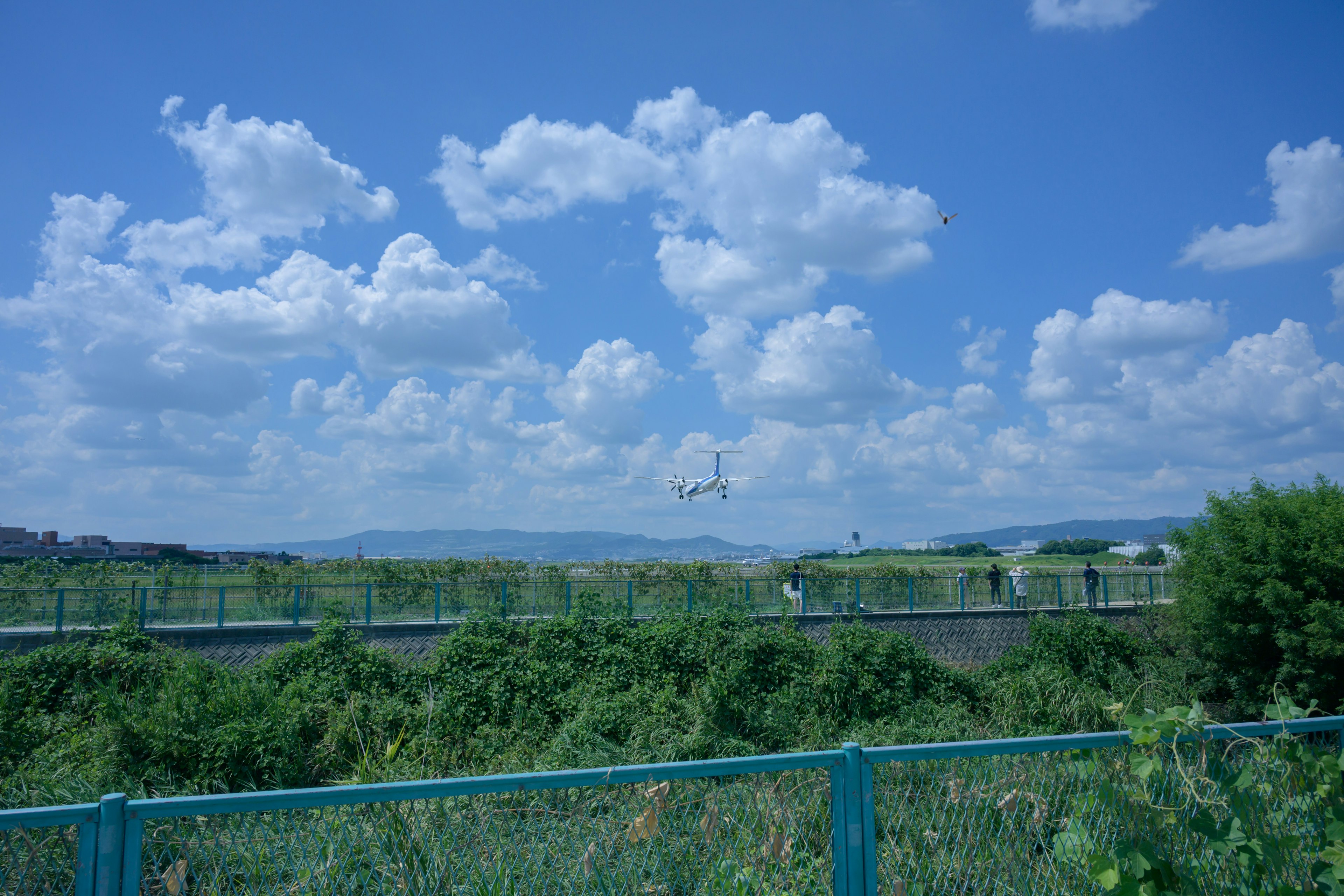 An airplane landing under a blue sky with fluffy white clouds