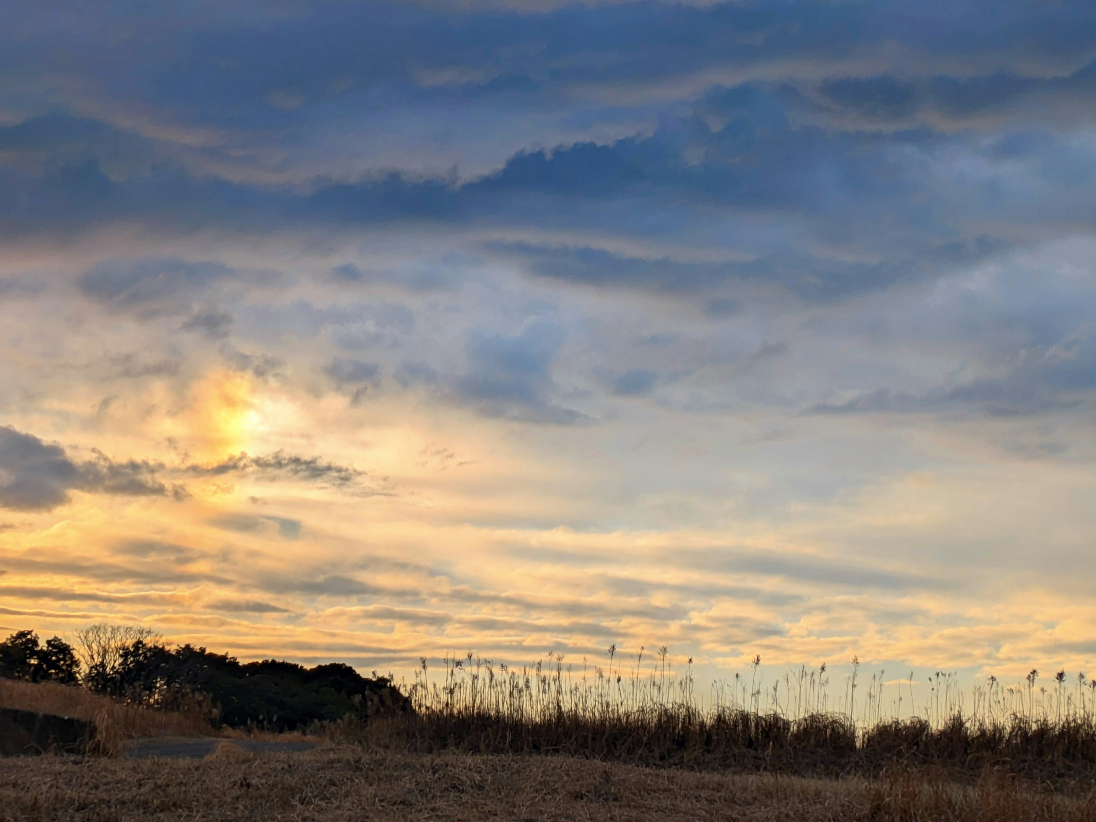 Paisaje de un campo al atardecer con nubes en el cielo