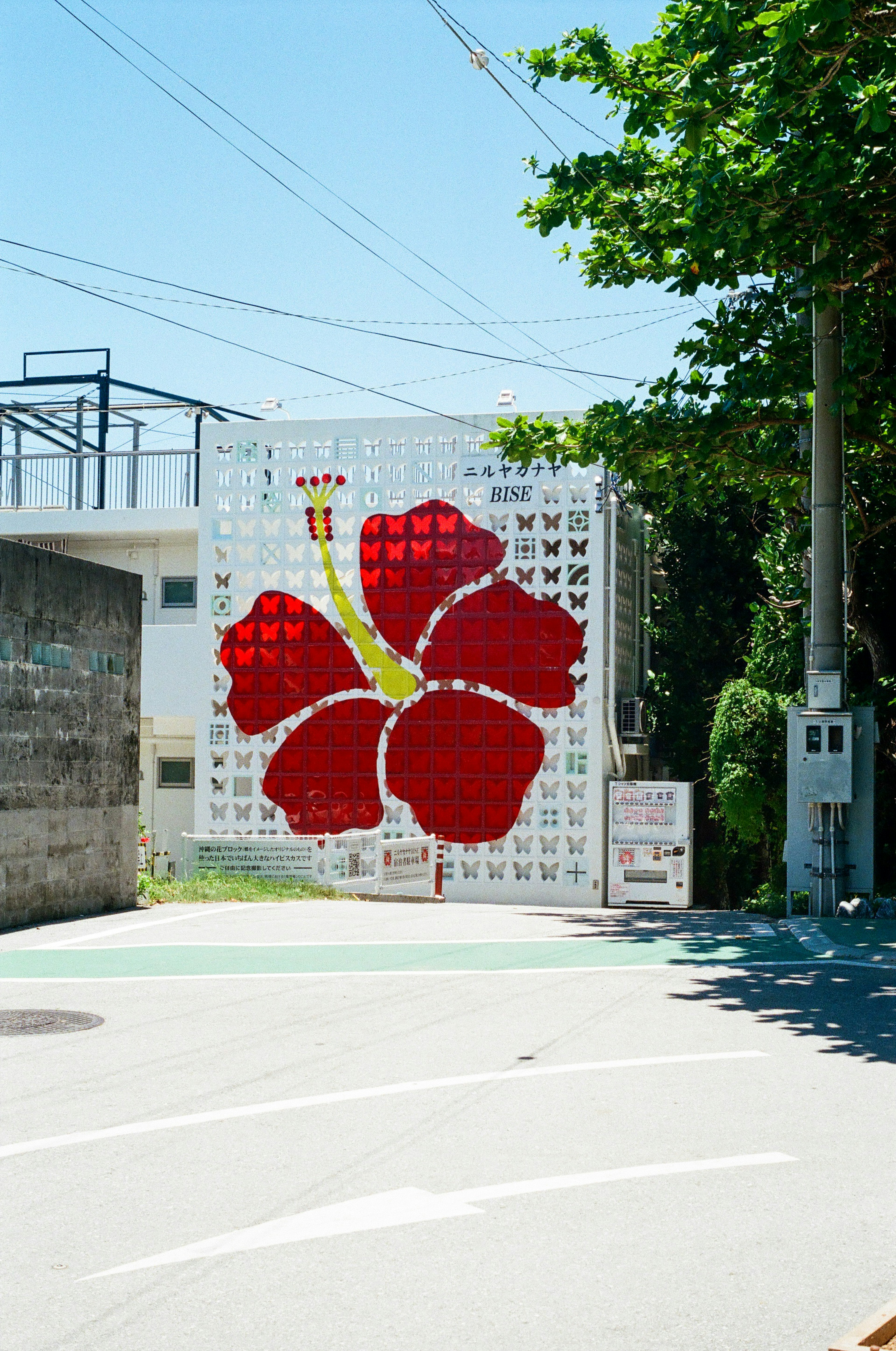 A red hibiscus flower painted on a white fence along a road