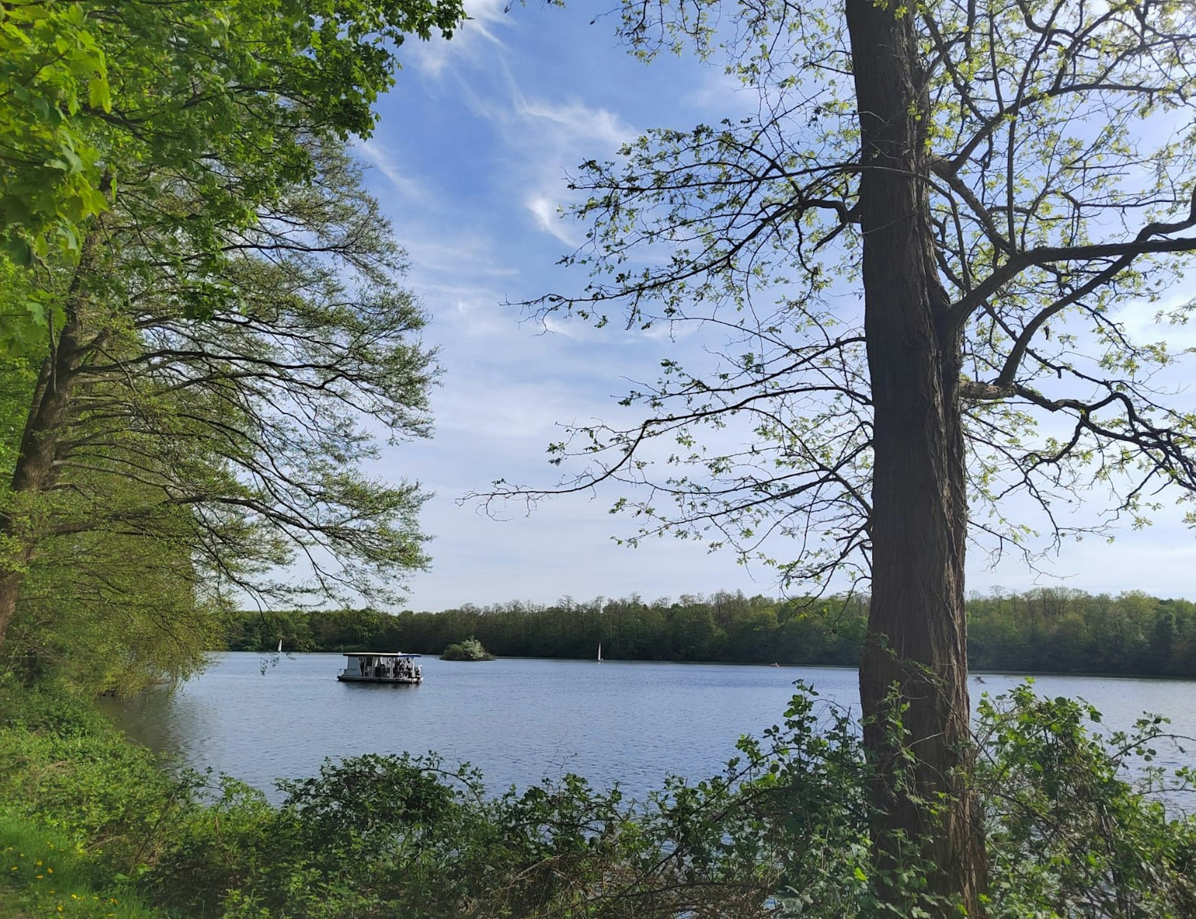 Pemandangan indah danau tenang dikelilingi pepohonan hijau dengan perahu mengapung