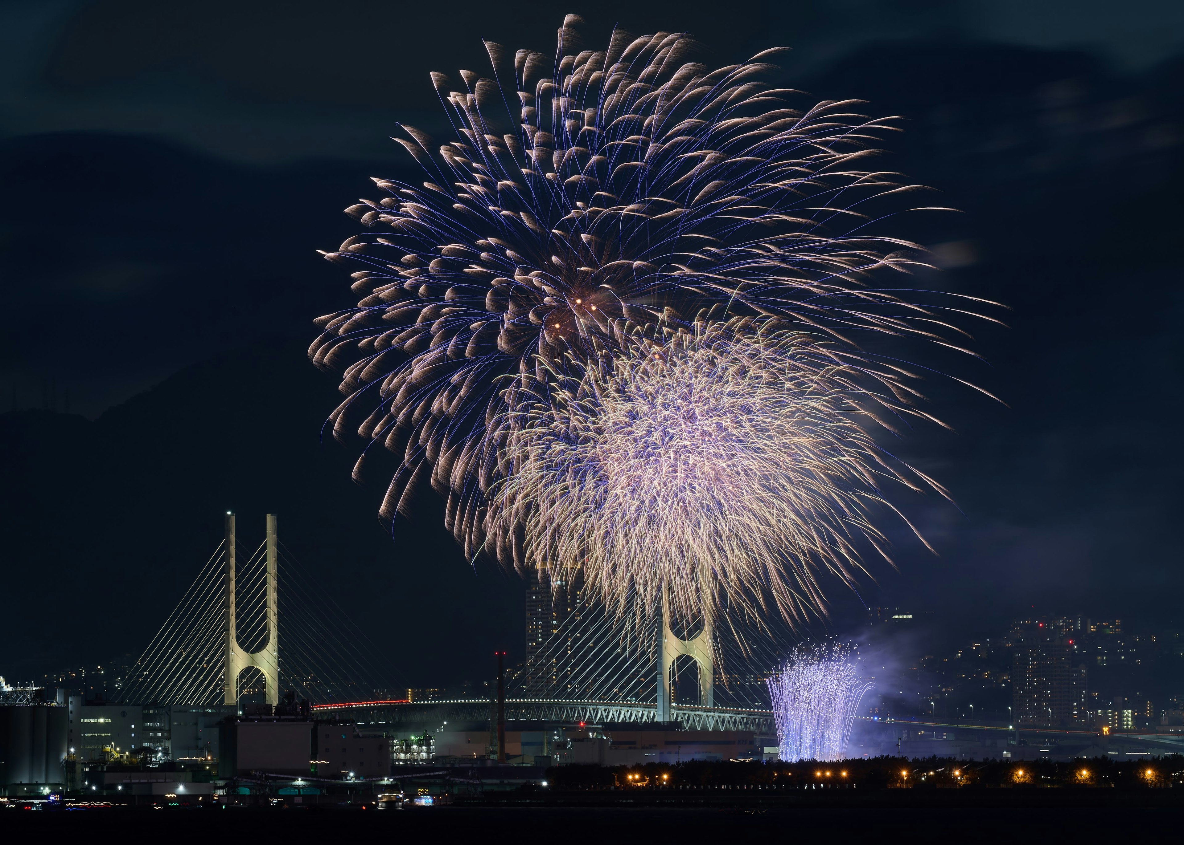 夜空中绽放的五彩烟花与城市天际线