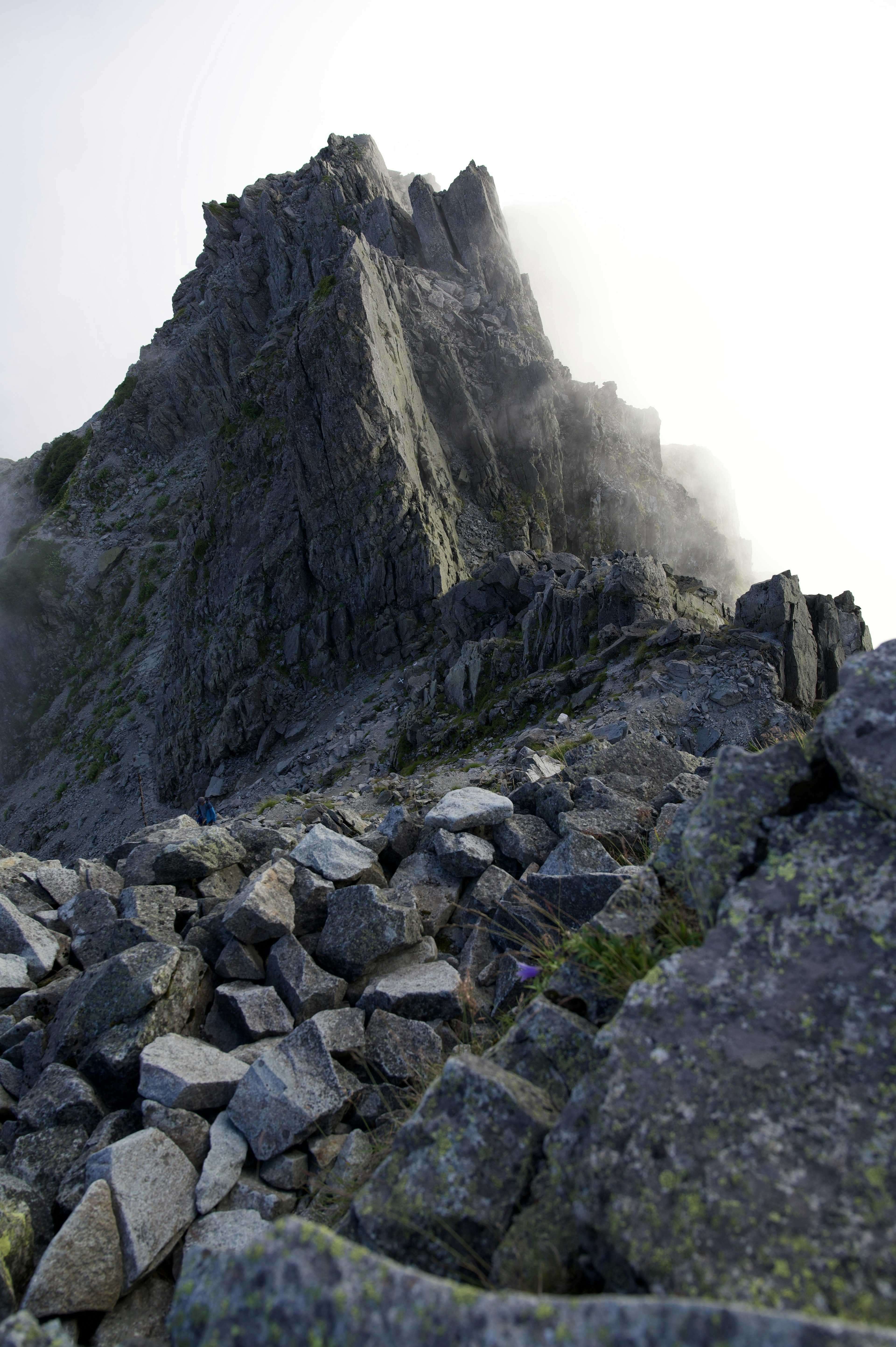 霧に包まれた山の頂上の険しい岩の風景