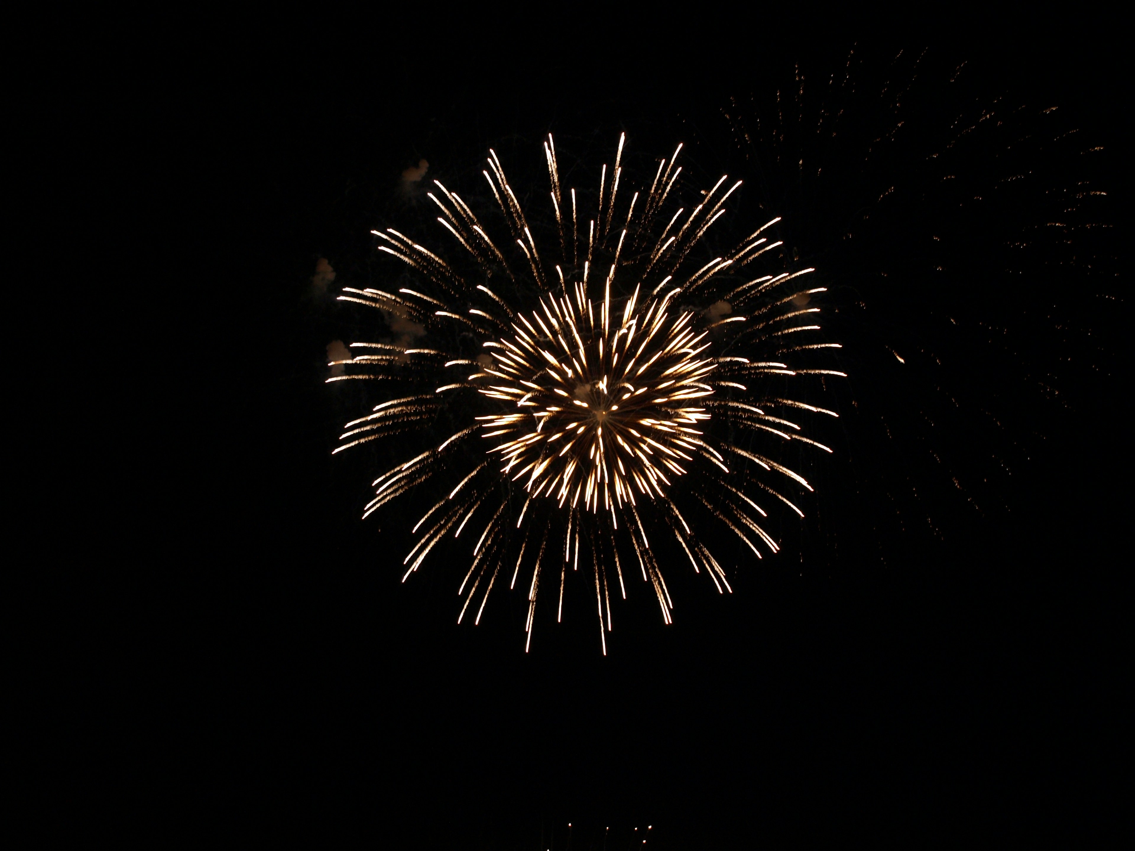 Beautiful display of golden fireworks against a black background