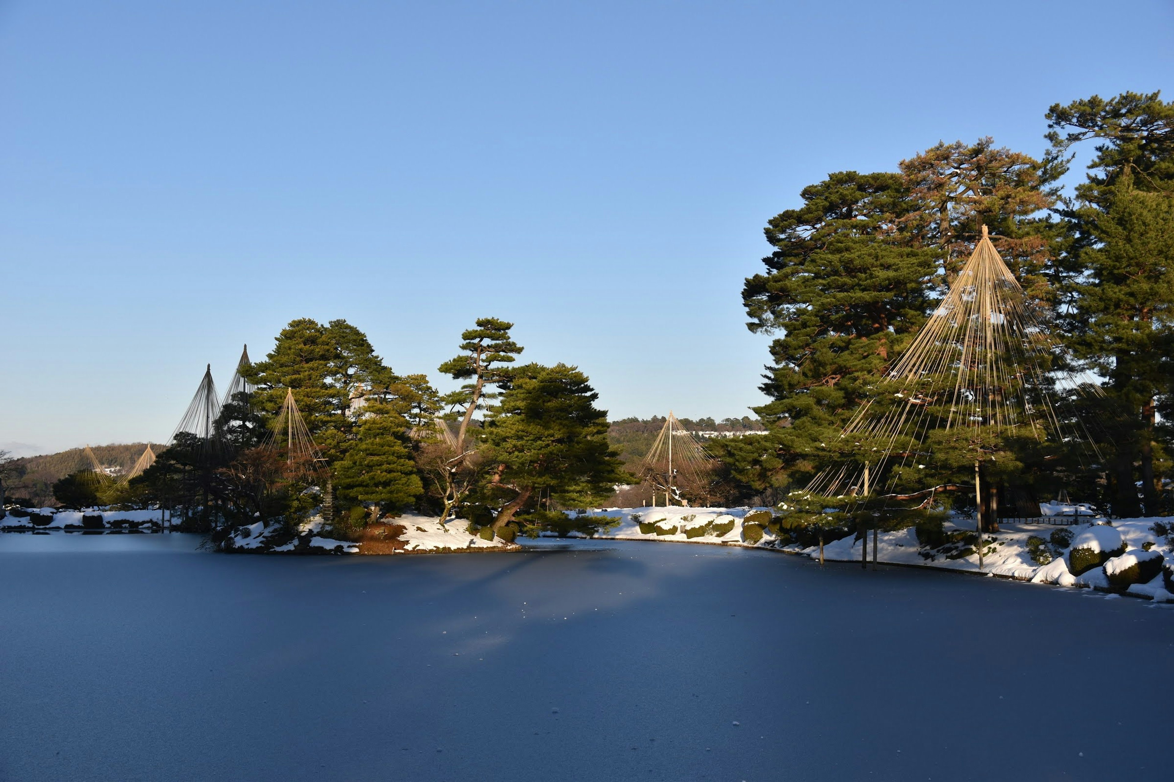 Estanque cubierto de nieve con pinos y paisaje invernal