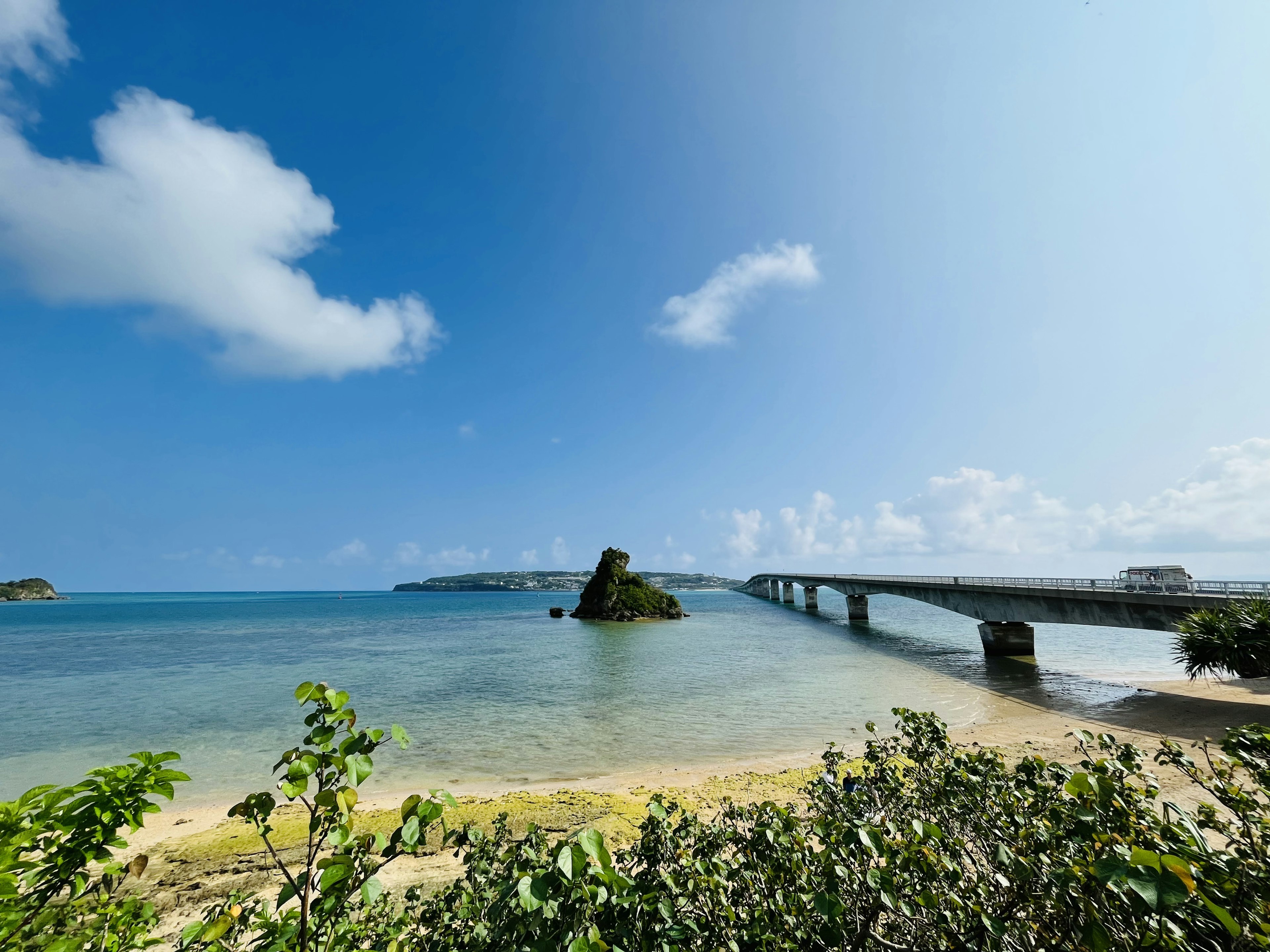 美しい海と橋の風景緑の植物と青い空