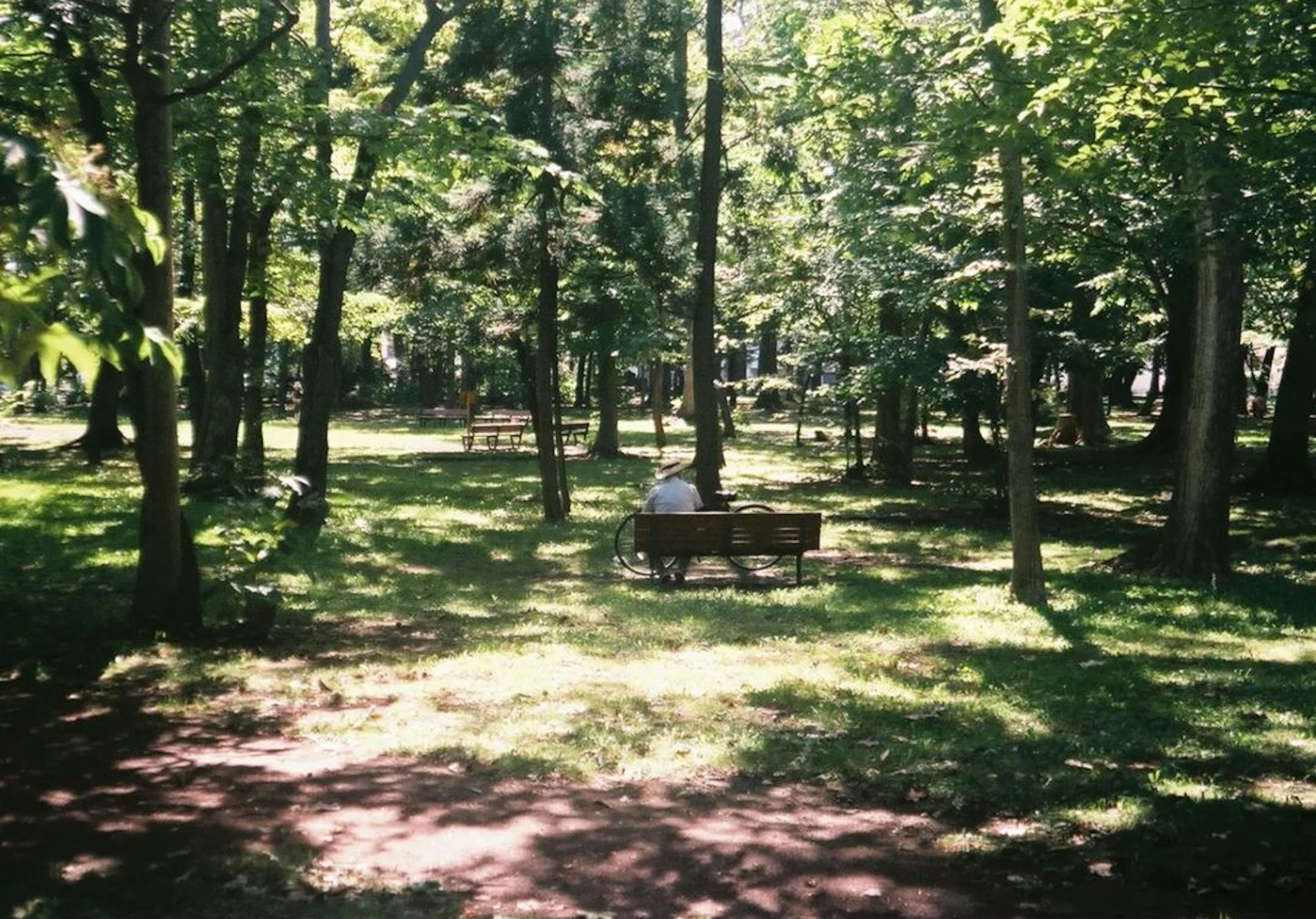 Une personne assise sur un banc dans un parc verdoyant