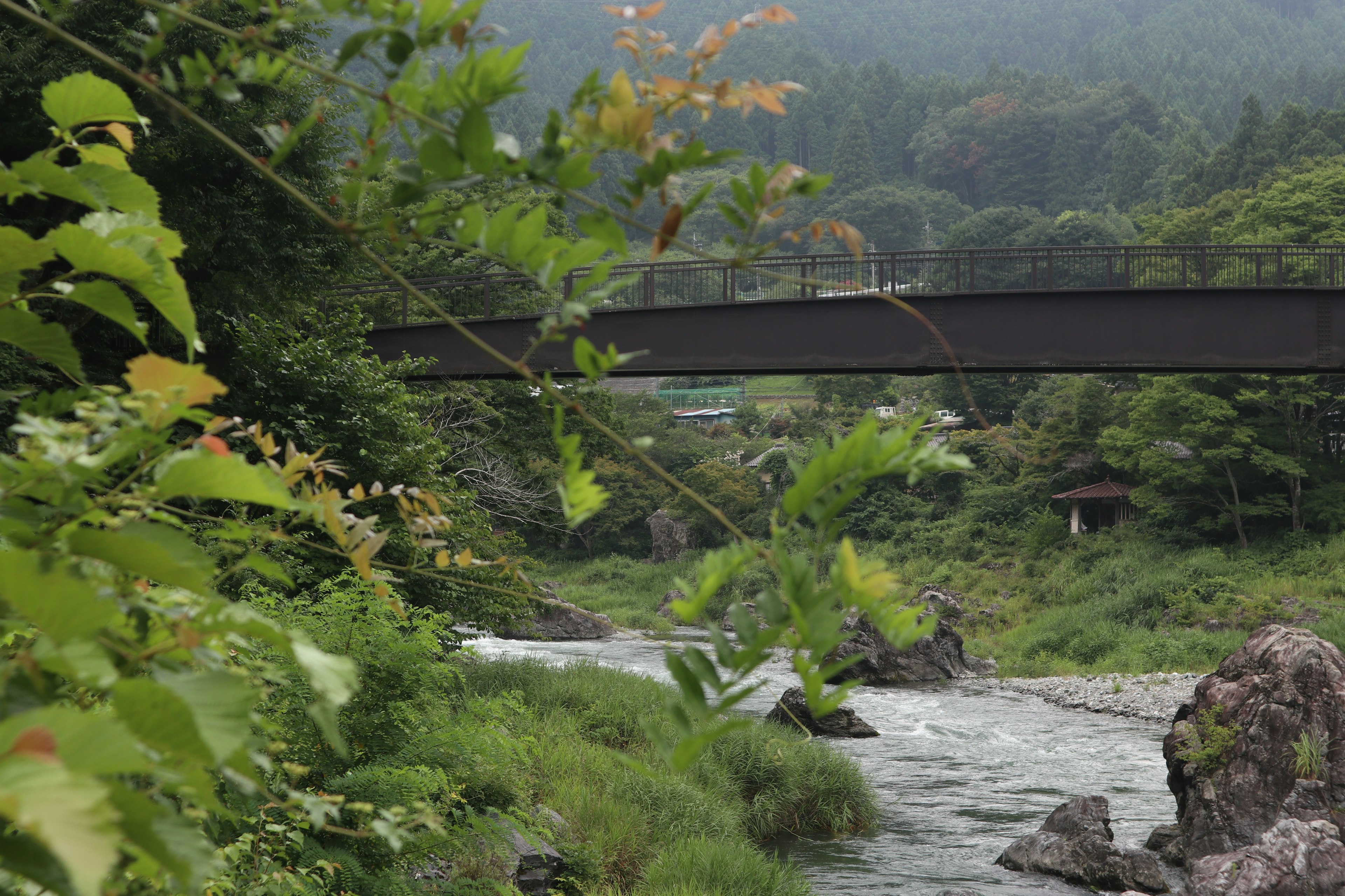 Pemandangan jembatan hitam di atas sungai dikelilingi oleh vegetasi yang rimbun