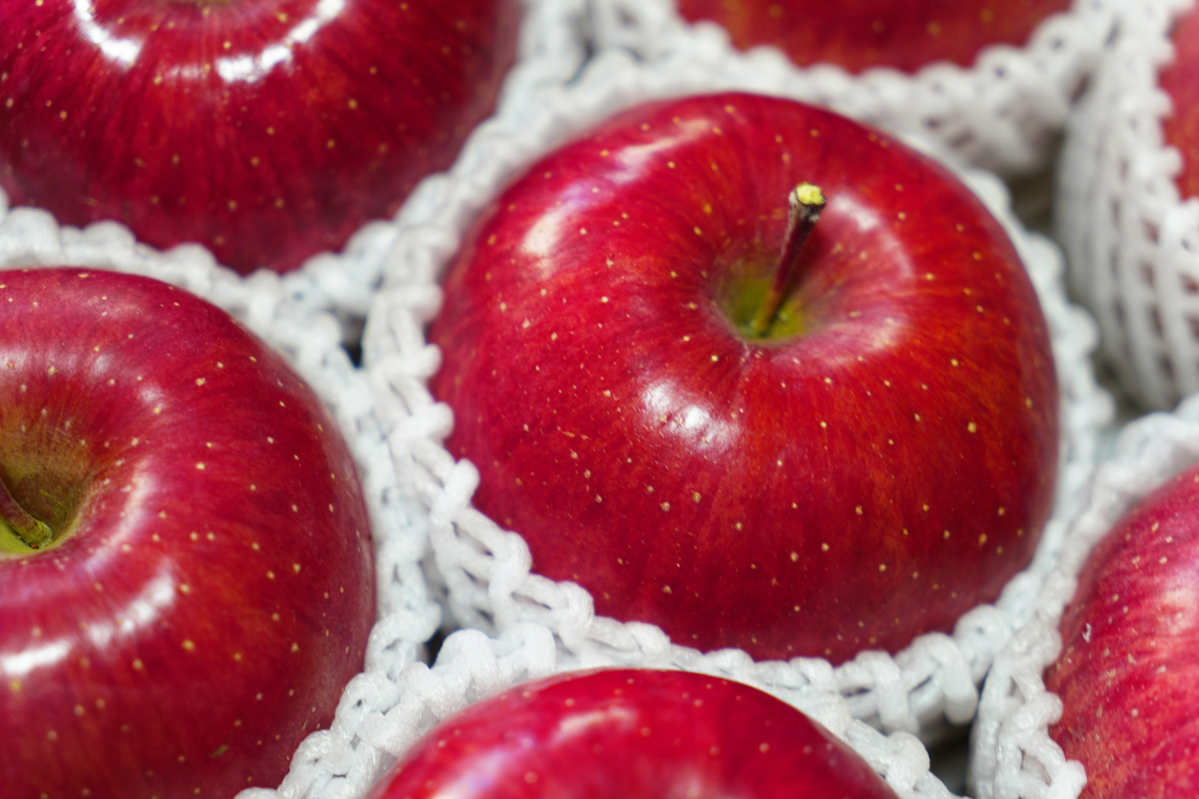 Manzanas rojas envueltas en una malla blanca