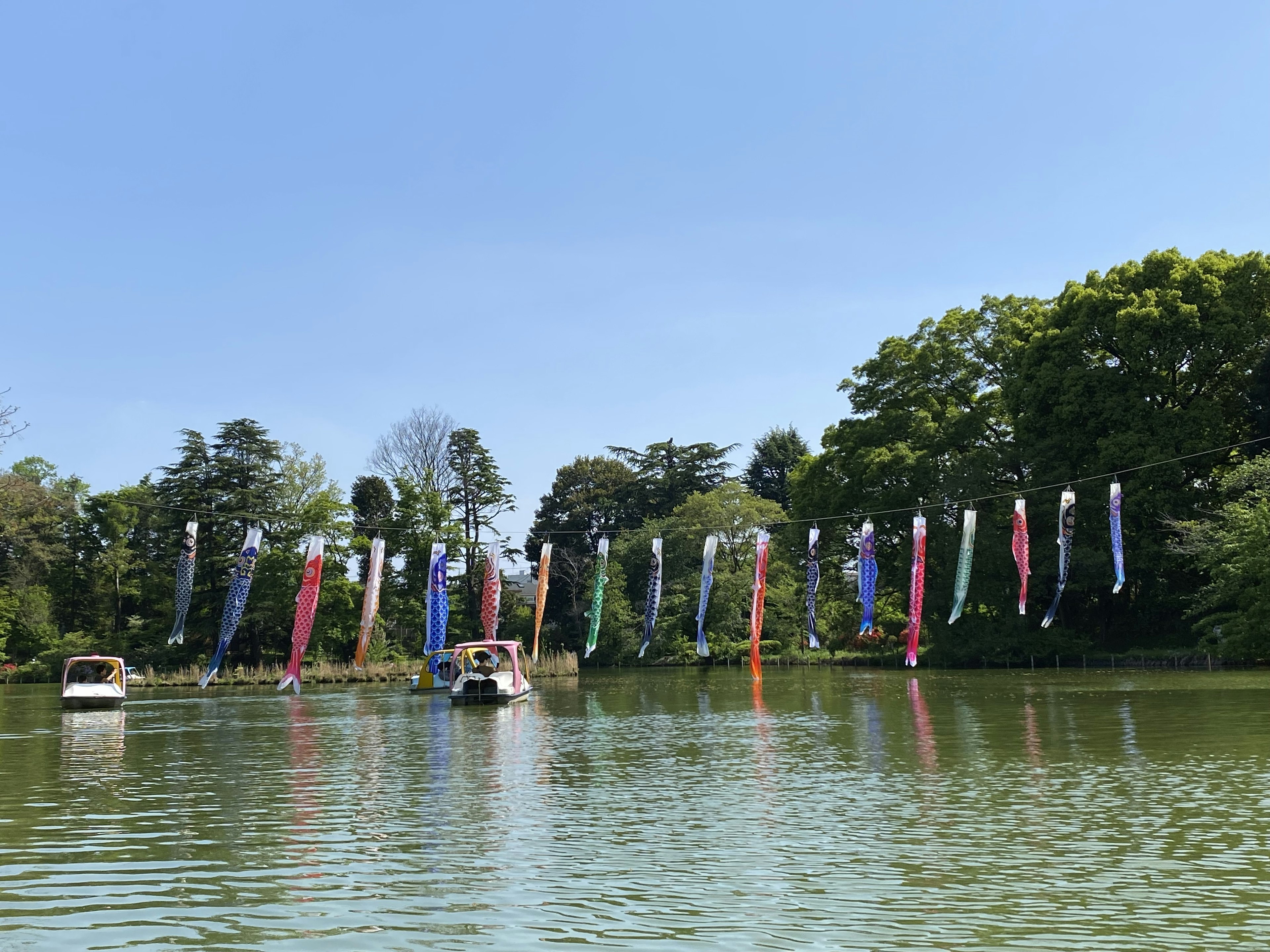 Colorful koi flags hanging over a river with a calm water surface