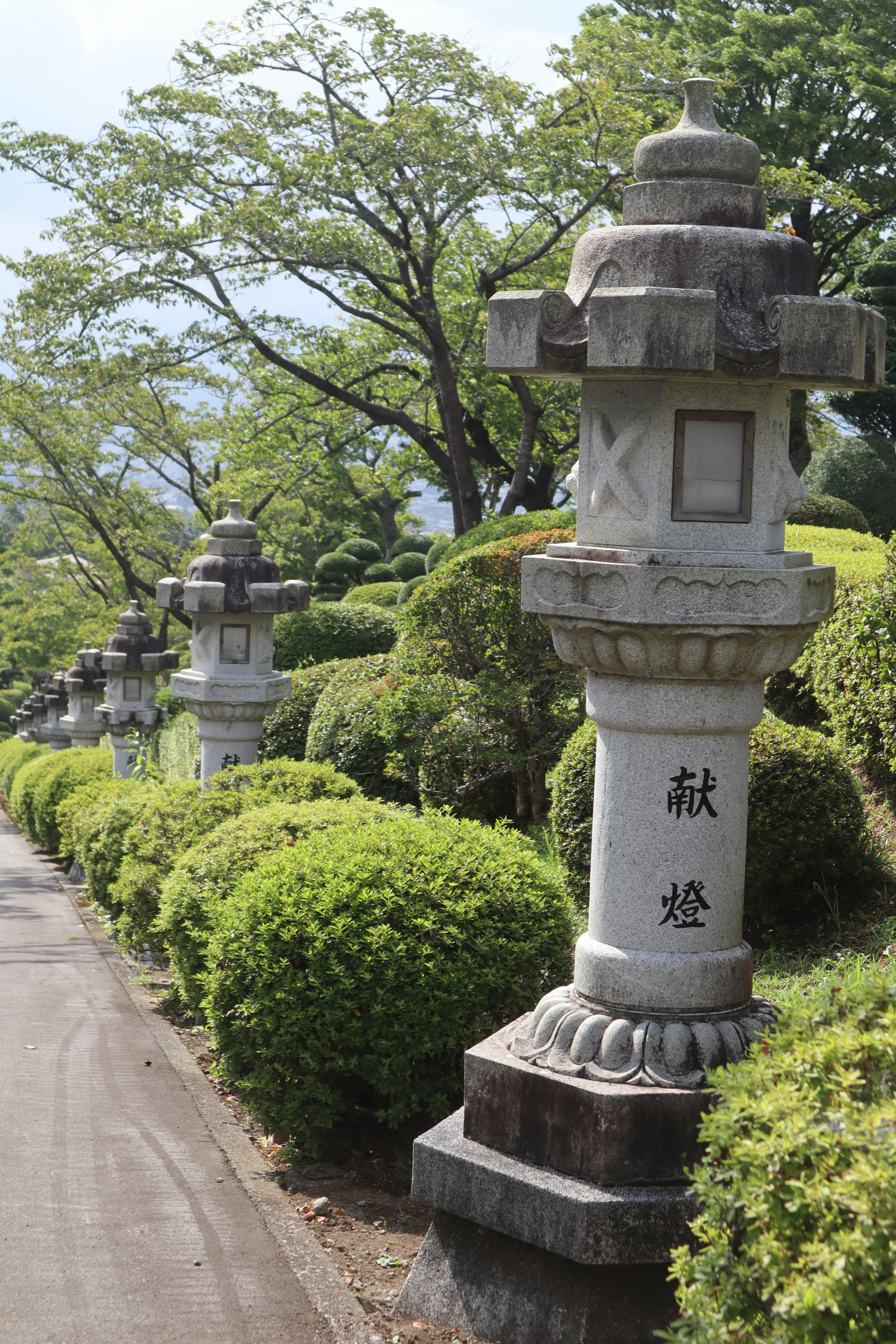 Pathway lined with stone lanterns surrounded by green shrubs