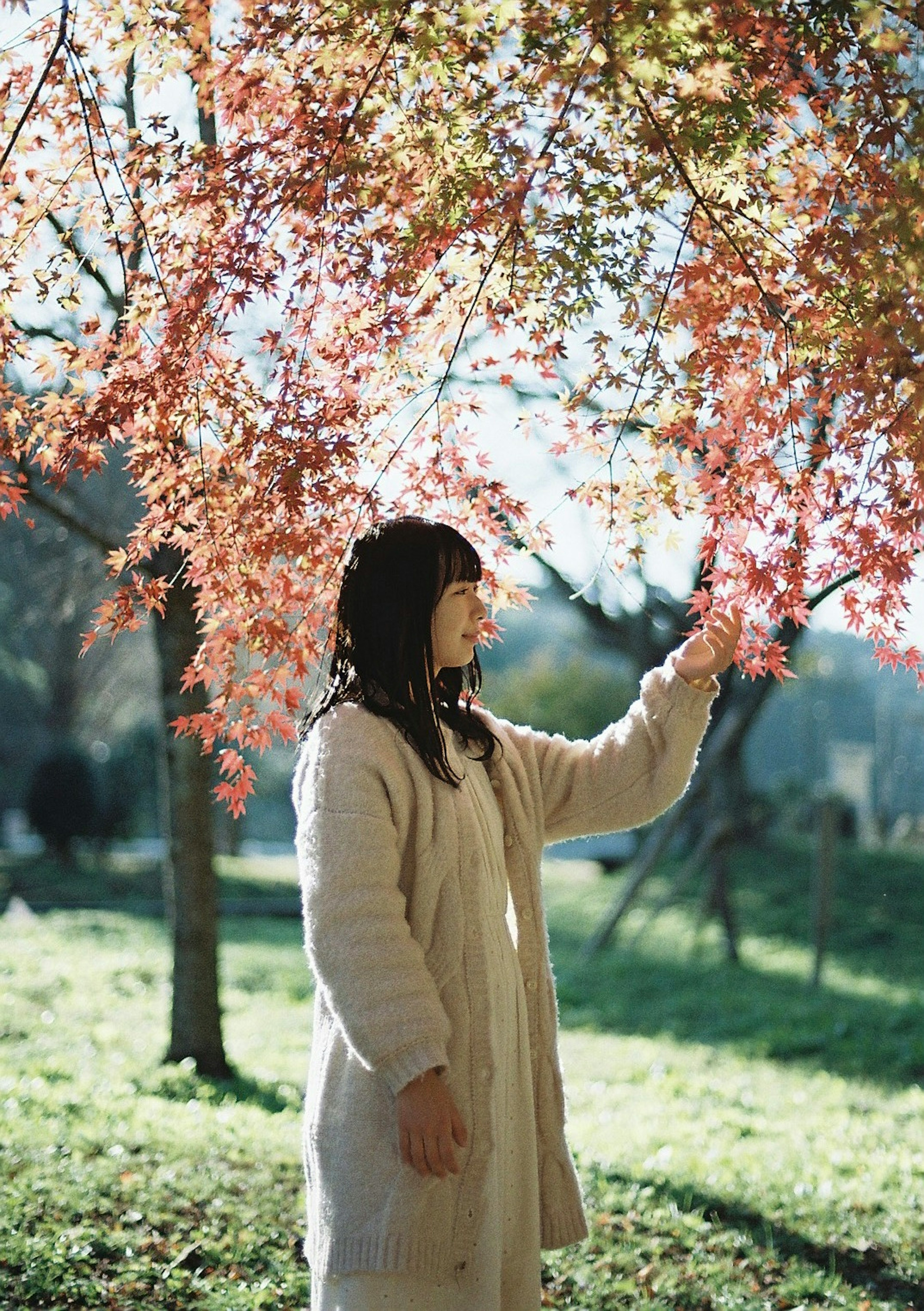 秋の紅葉の下で手を伸ばす女性の姿