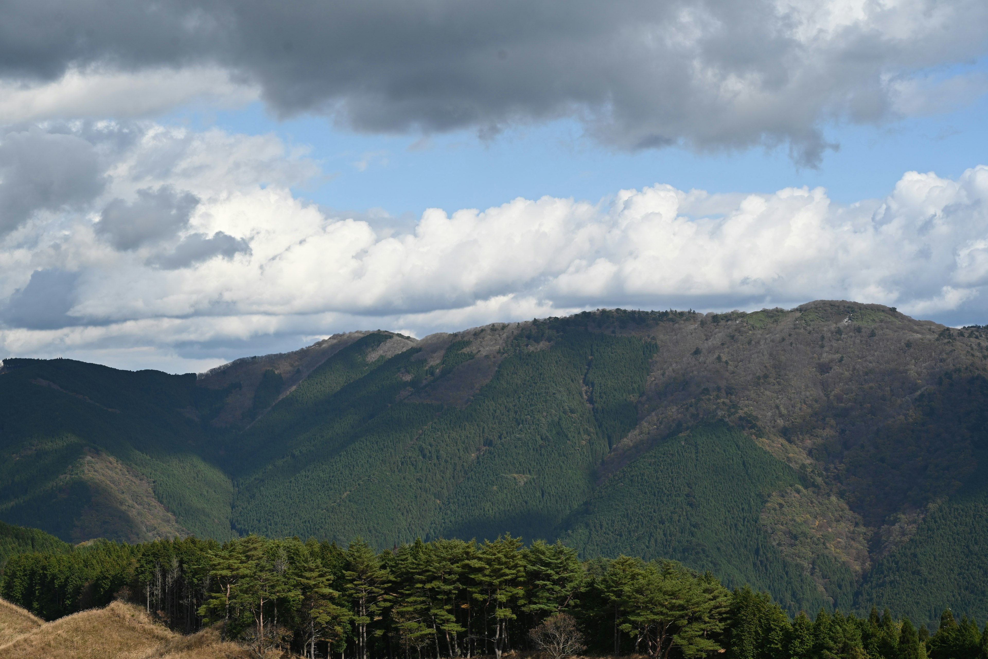 Berglandschaft mit Wolken grünem Wald und Gebirgen