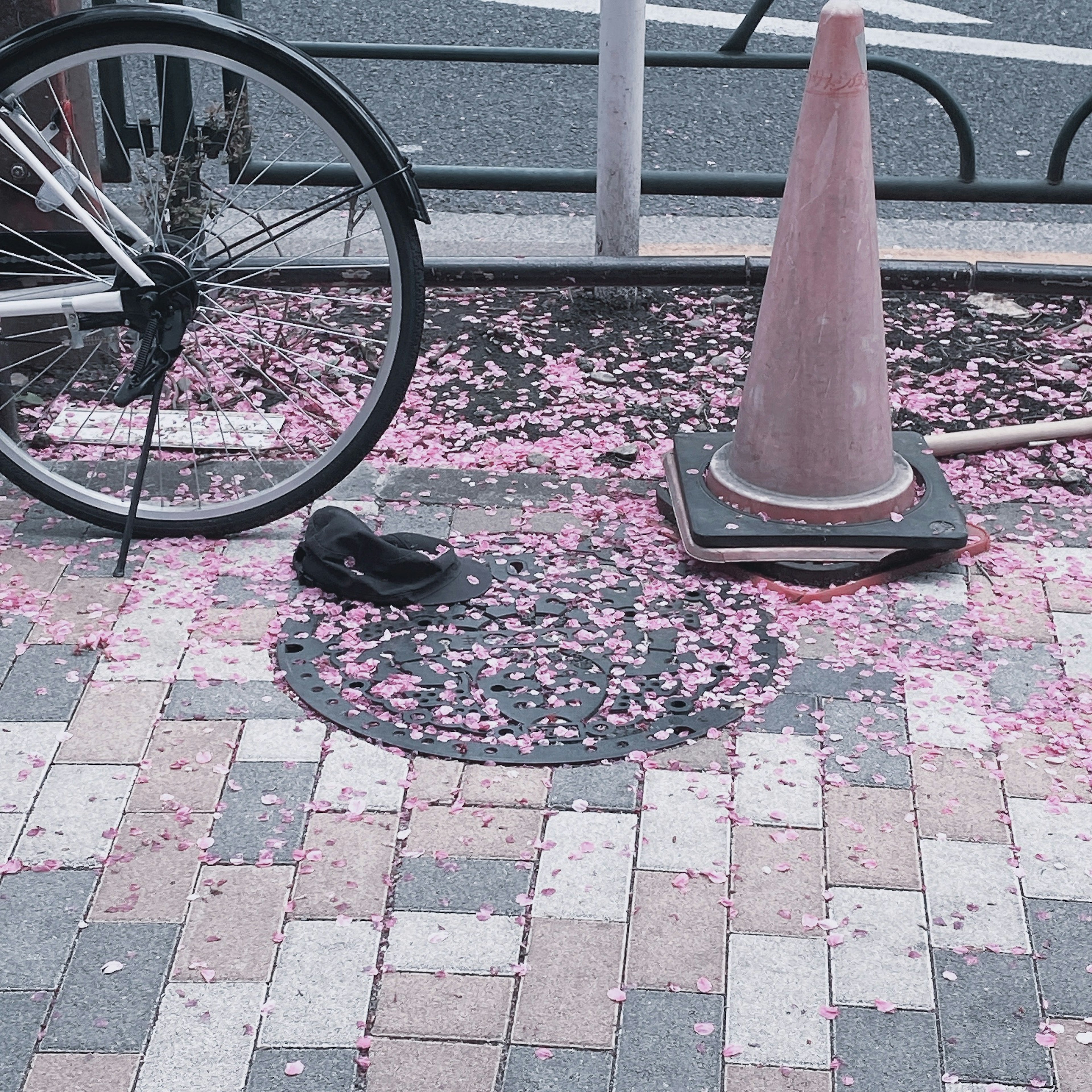 Calle pavimentada con pétalos de flor de cerezo rosa cerca de una bicicleta y un zapato