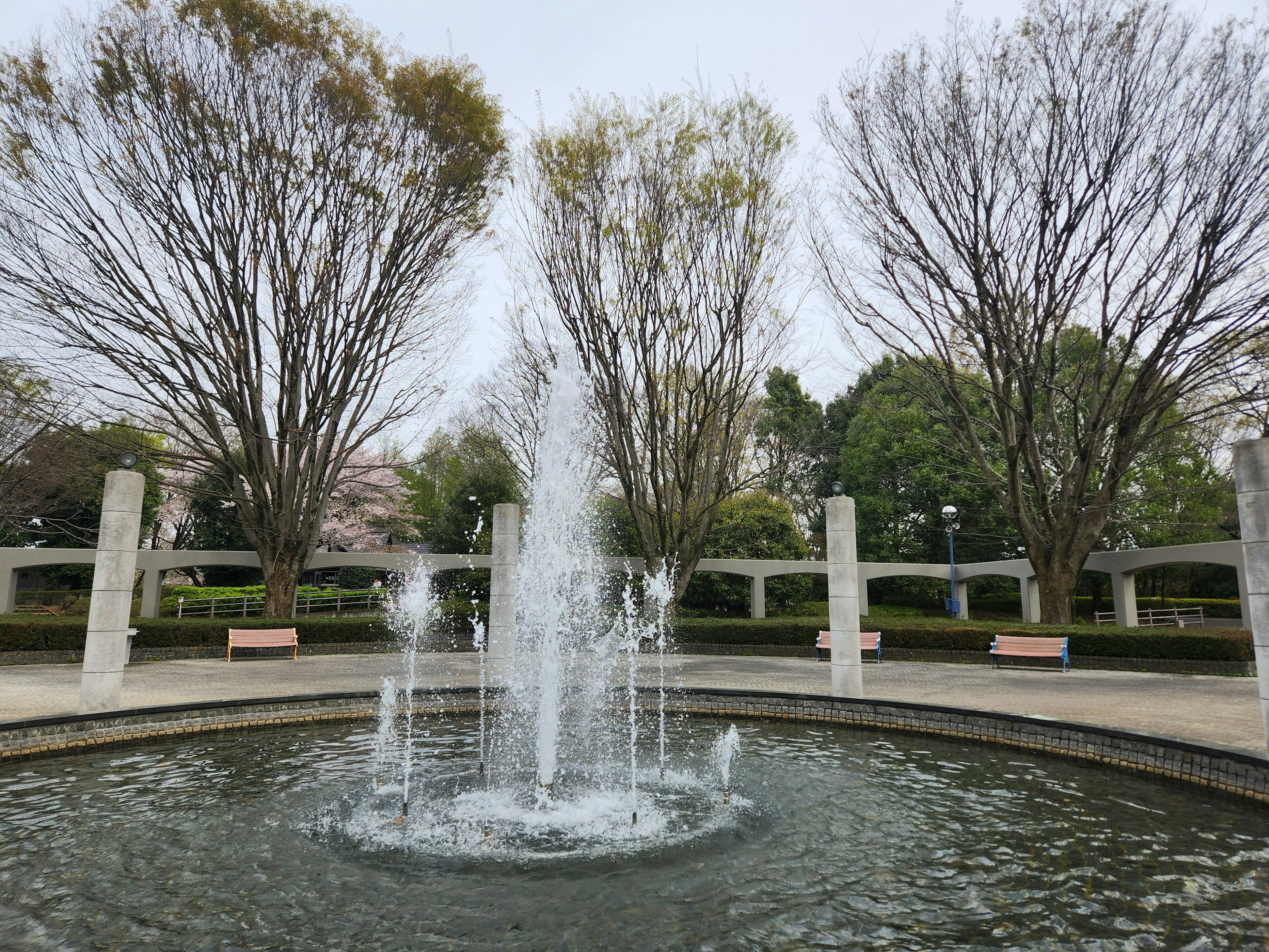 Fuente del parque rodeada de árboles