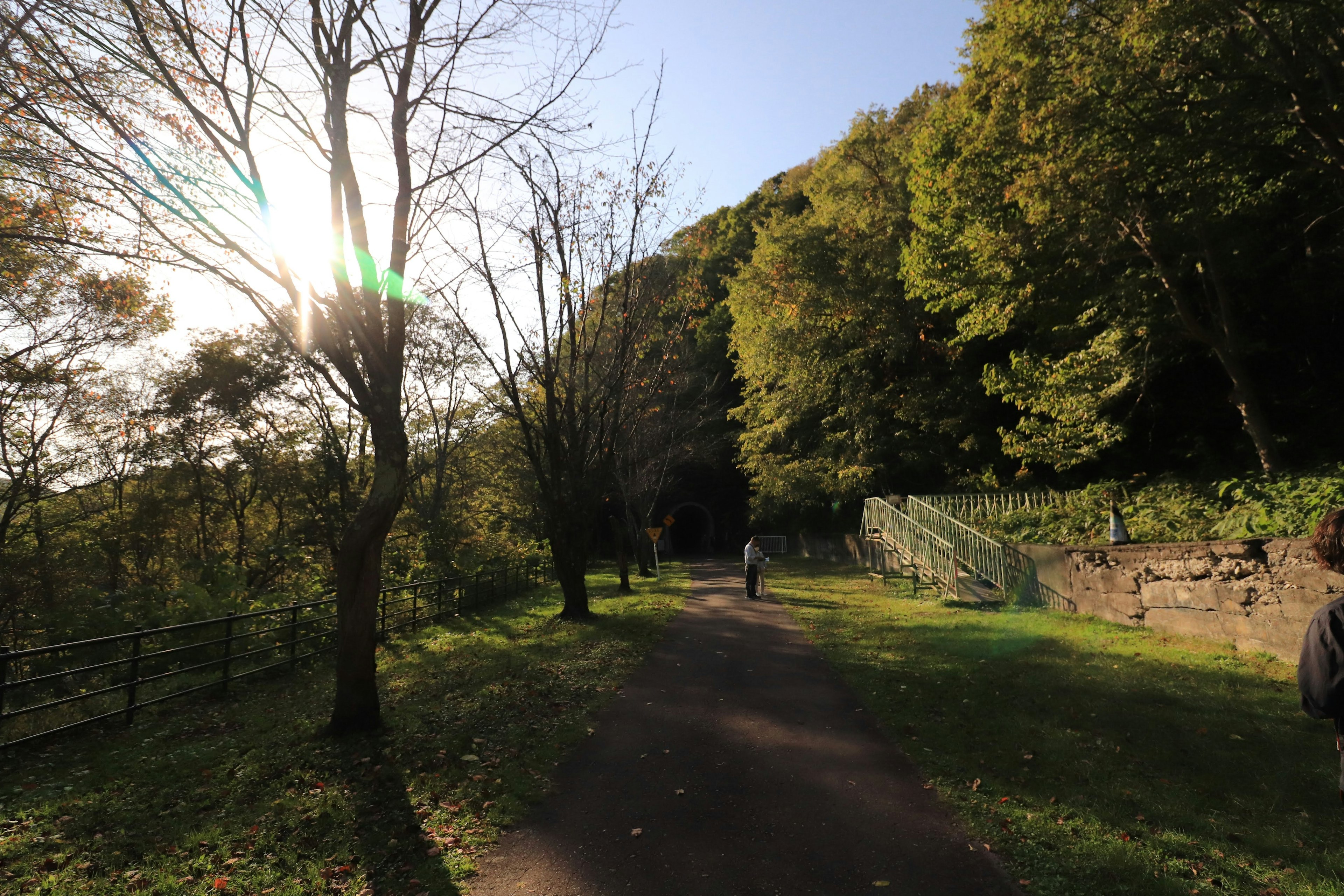 日差しが差し込む緑豊かな小道を歩く人々の風景