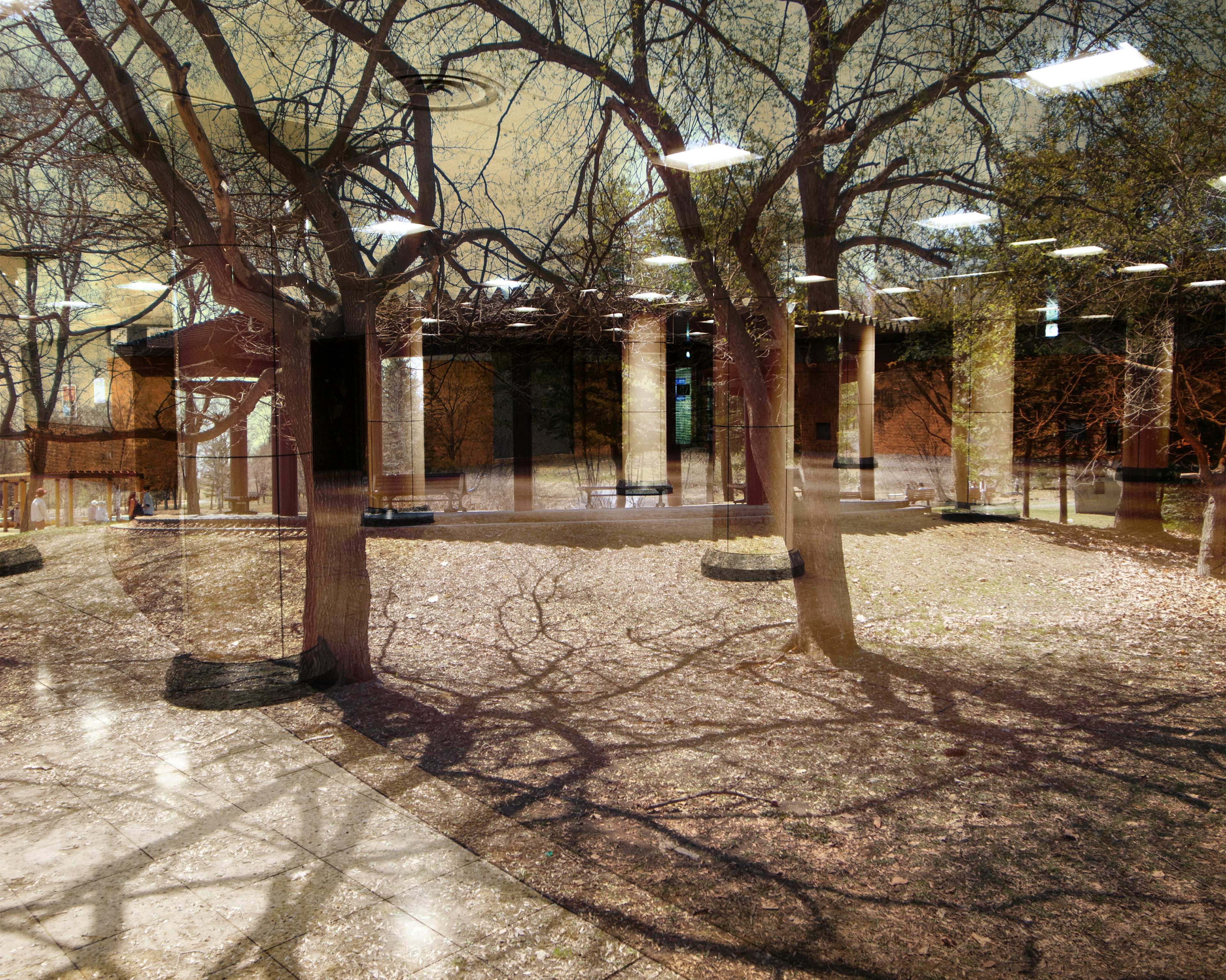 Spacious indoor area with tree shadows reflected on the floor