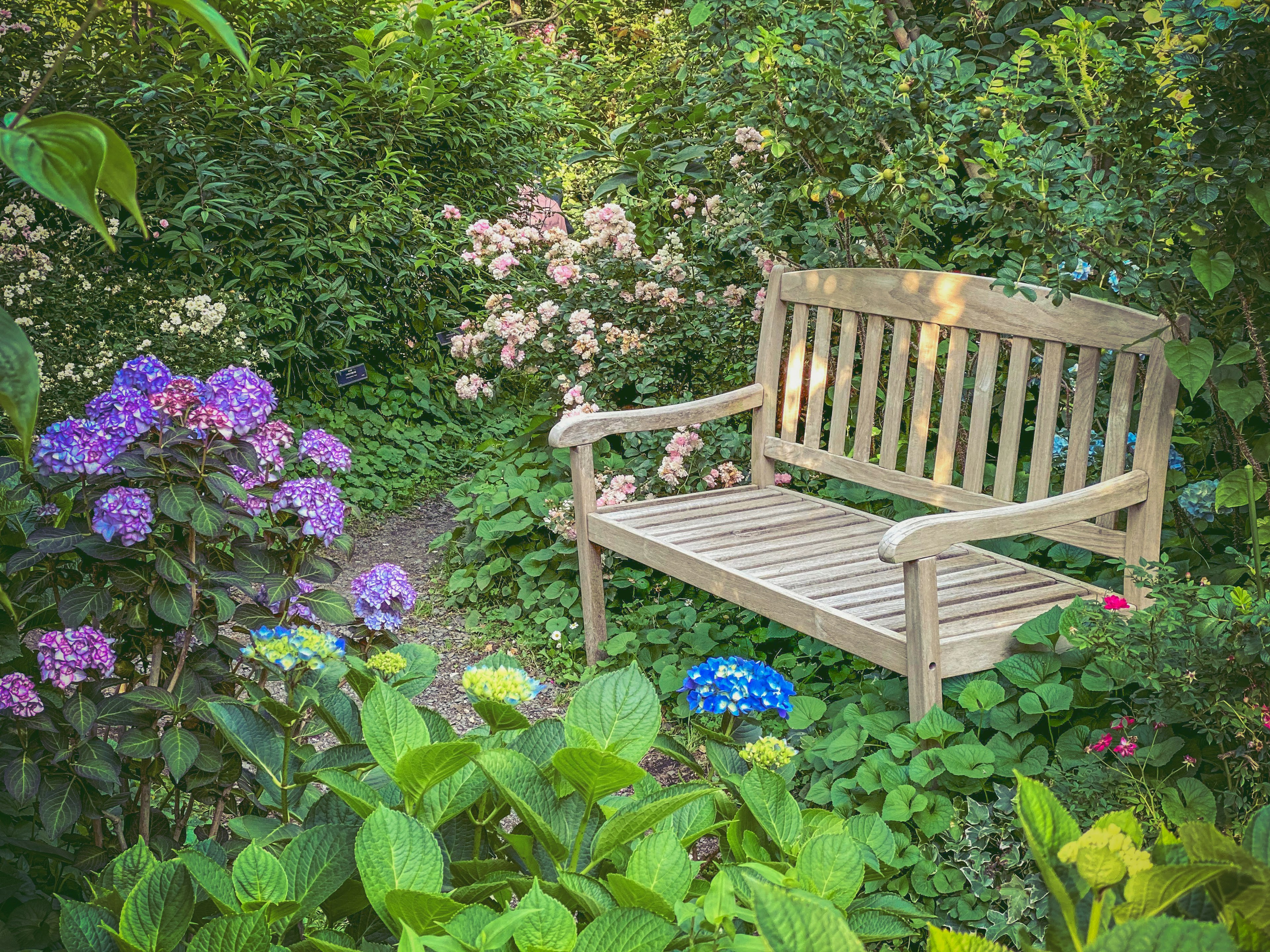 Holzbank in einem üppigen Garten umgeben von bunten Blumen