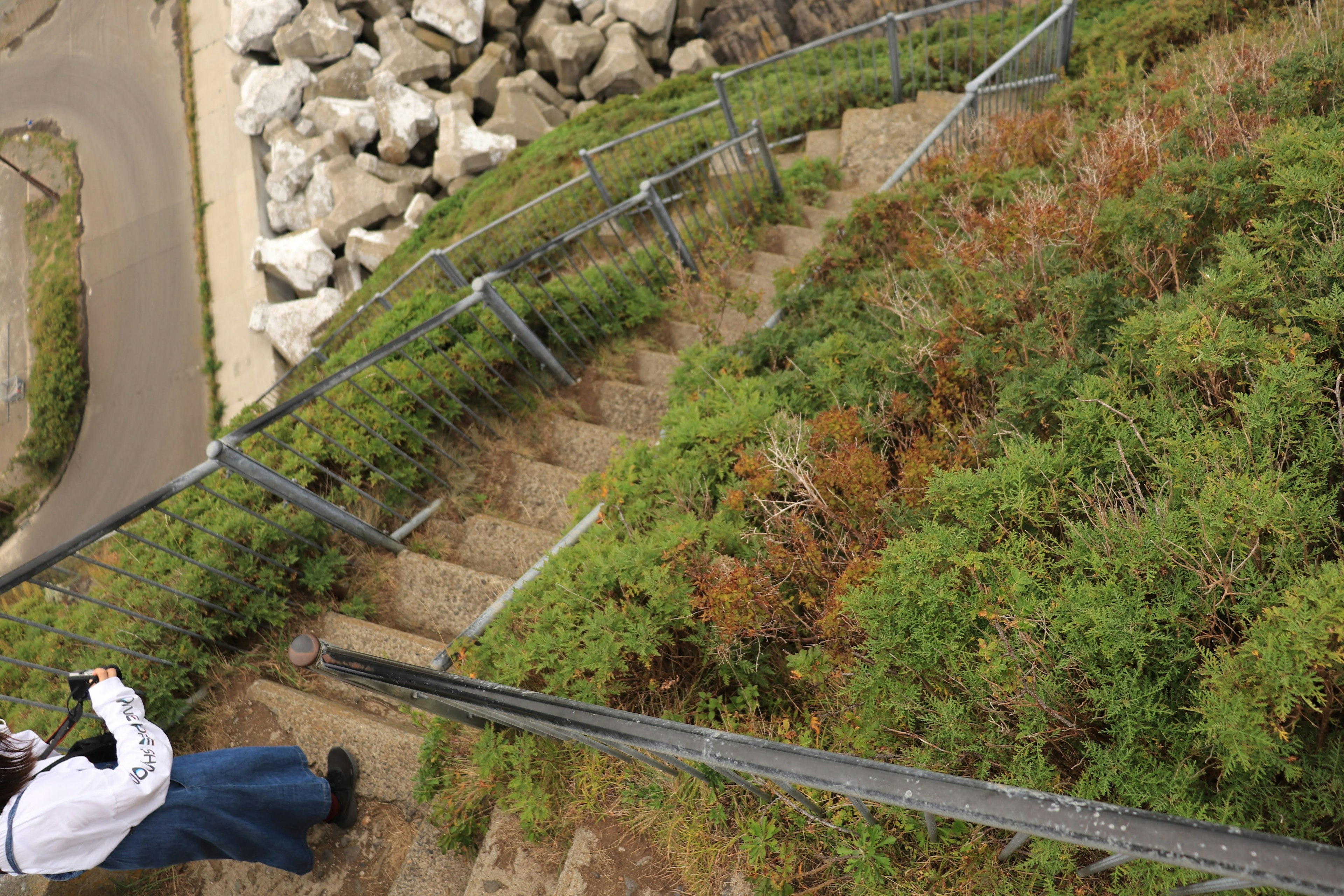 Eine Person, die Treppen hinuntergeht, umgeben von Grün und Steinen