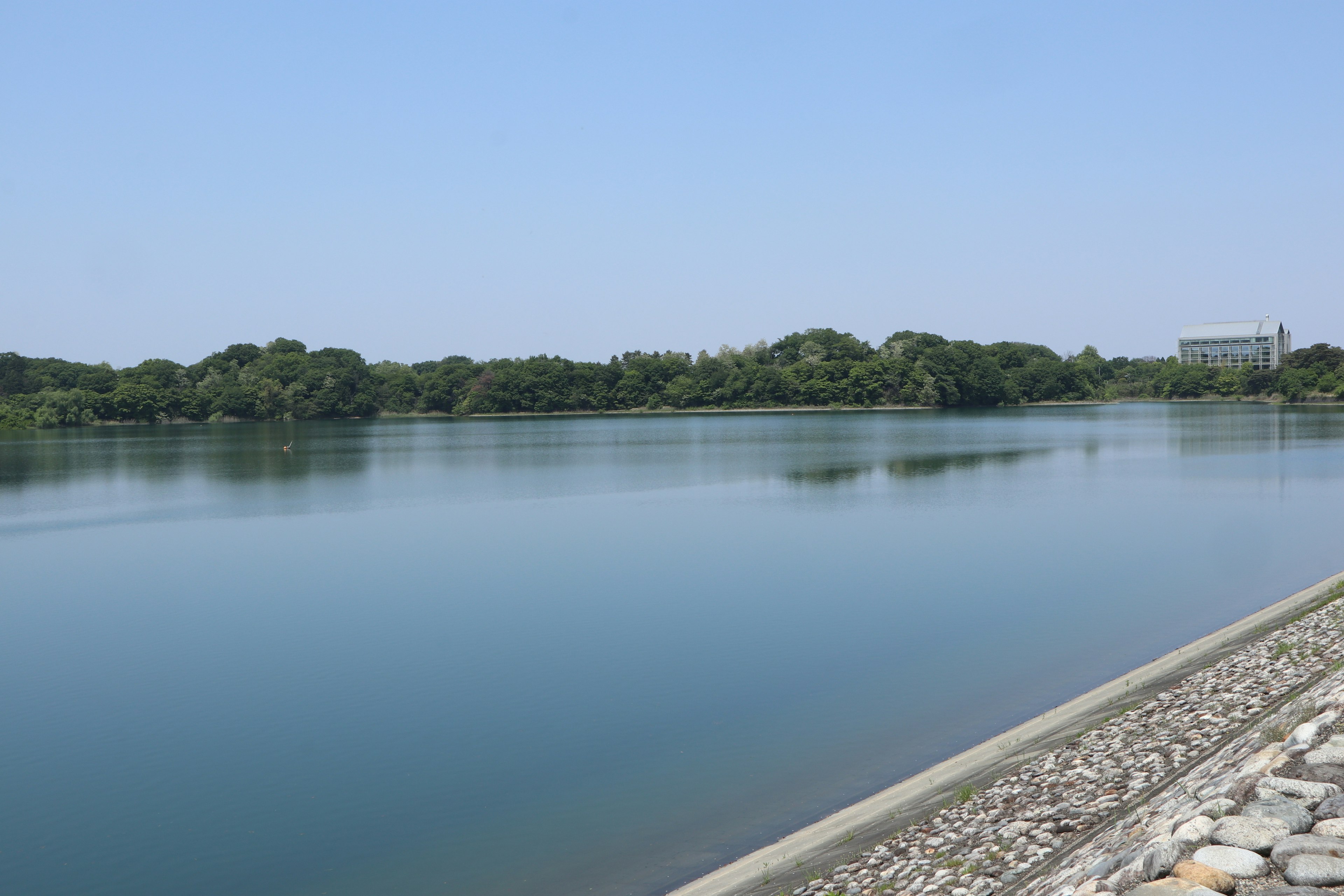 Pemandangan sungai tenang dengan air tenang dan pepohonan hijau subur