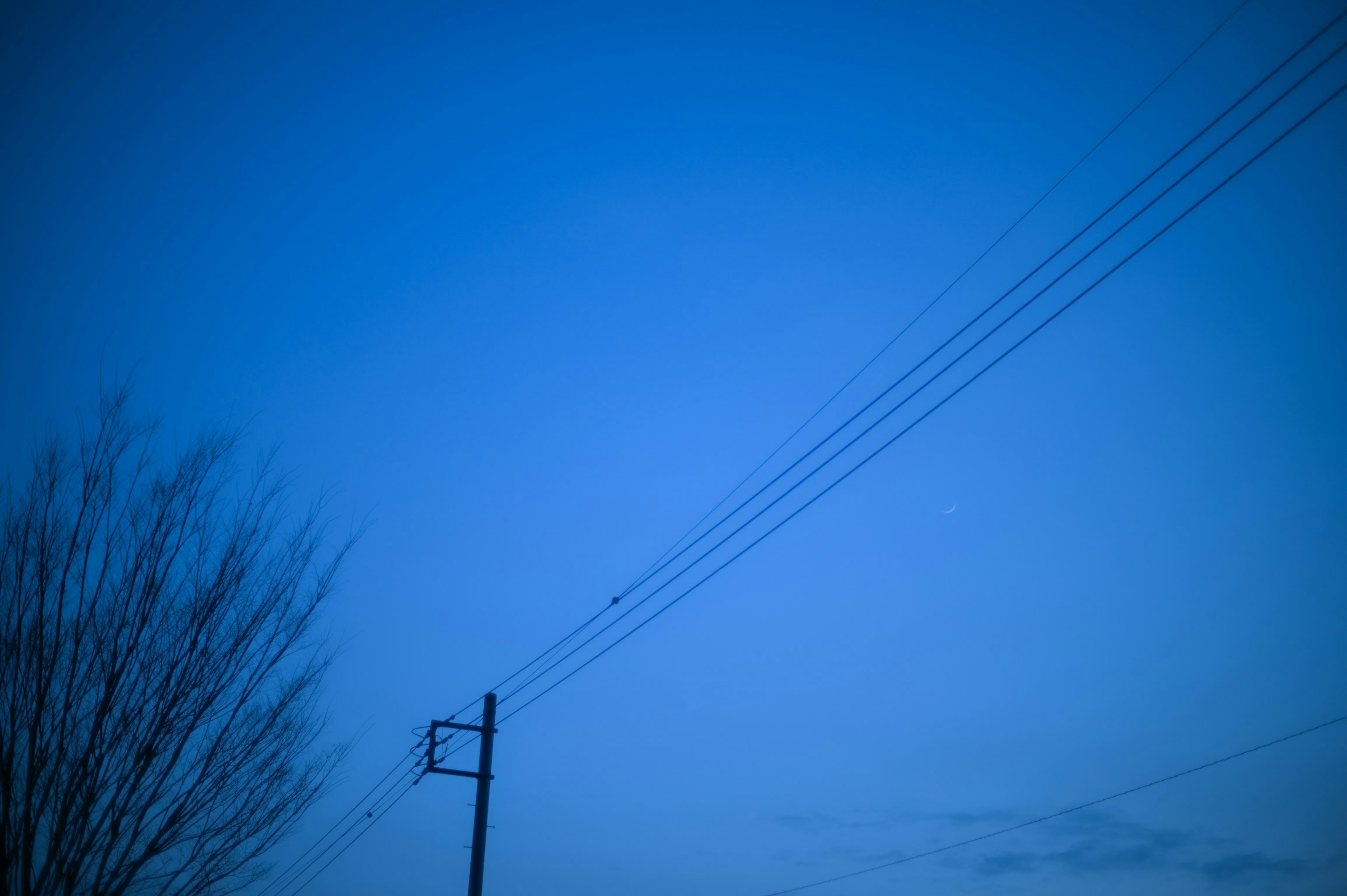 青い空と電線が見える風景