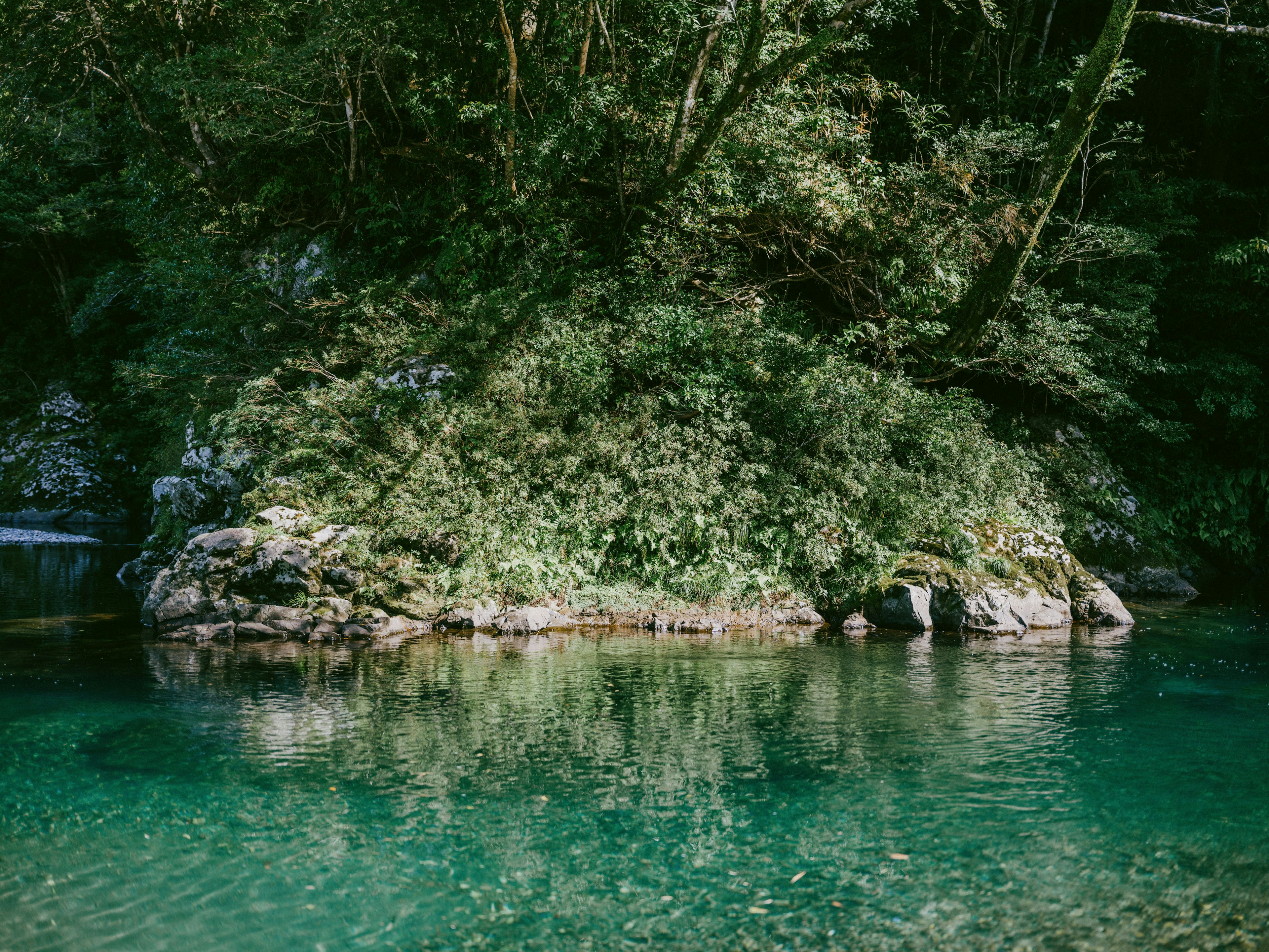 Acque serene circondate da vegetazione lussureggiante