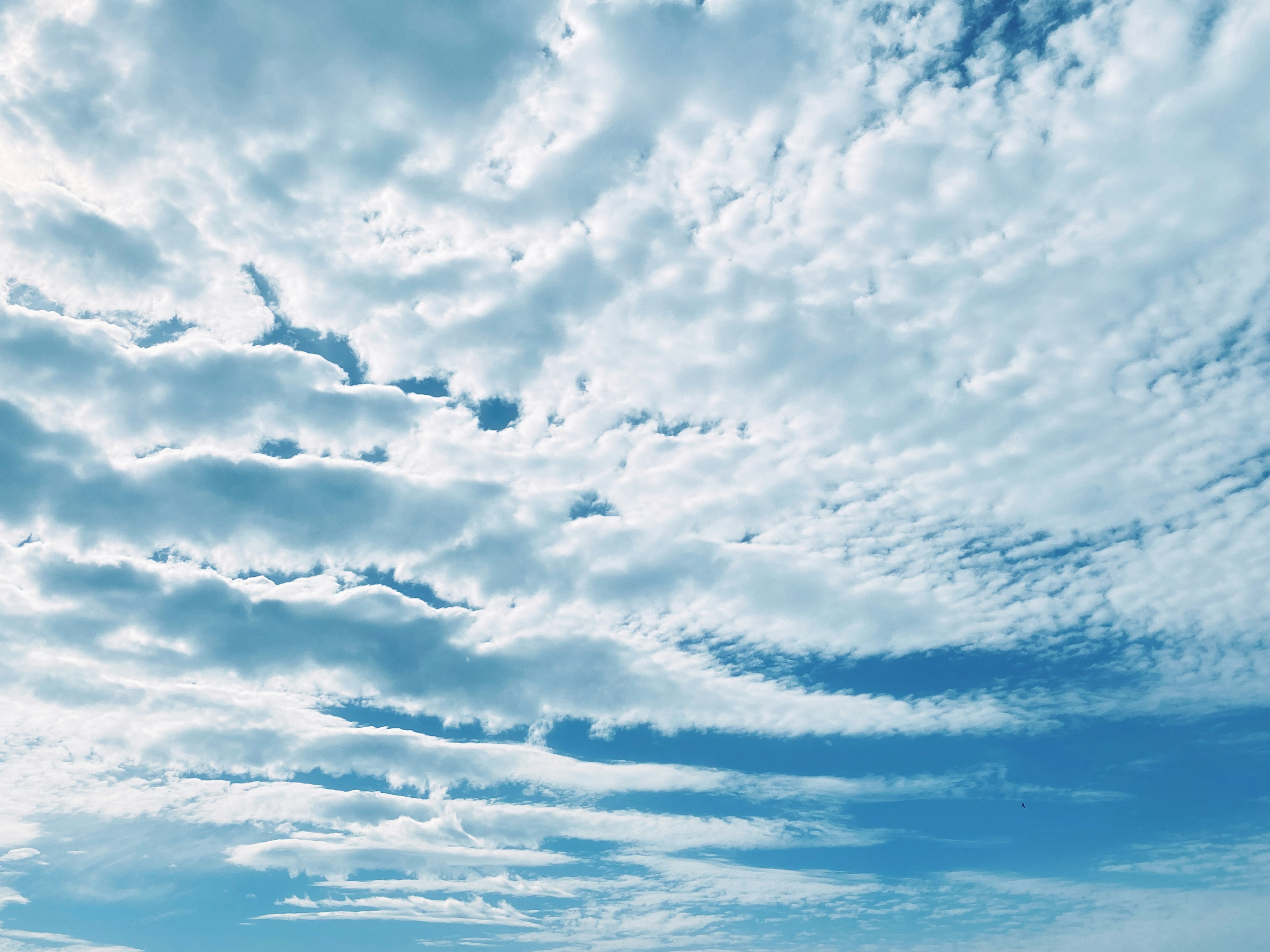 青空に広がる雲の模様が特徴的な風景