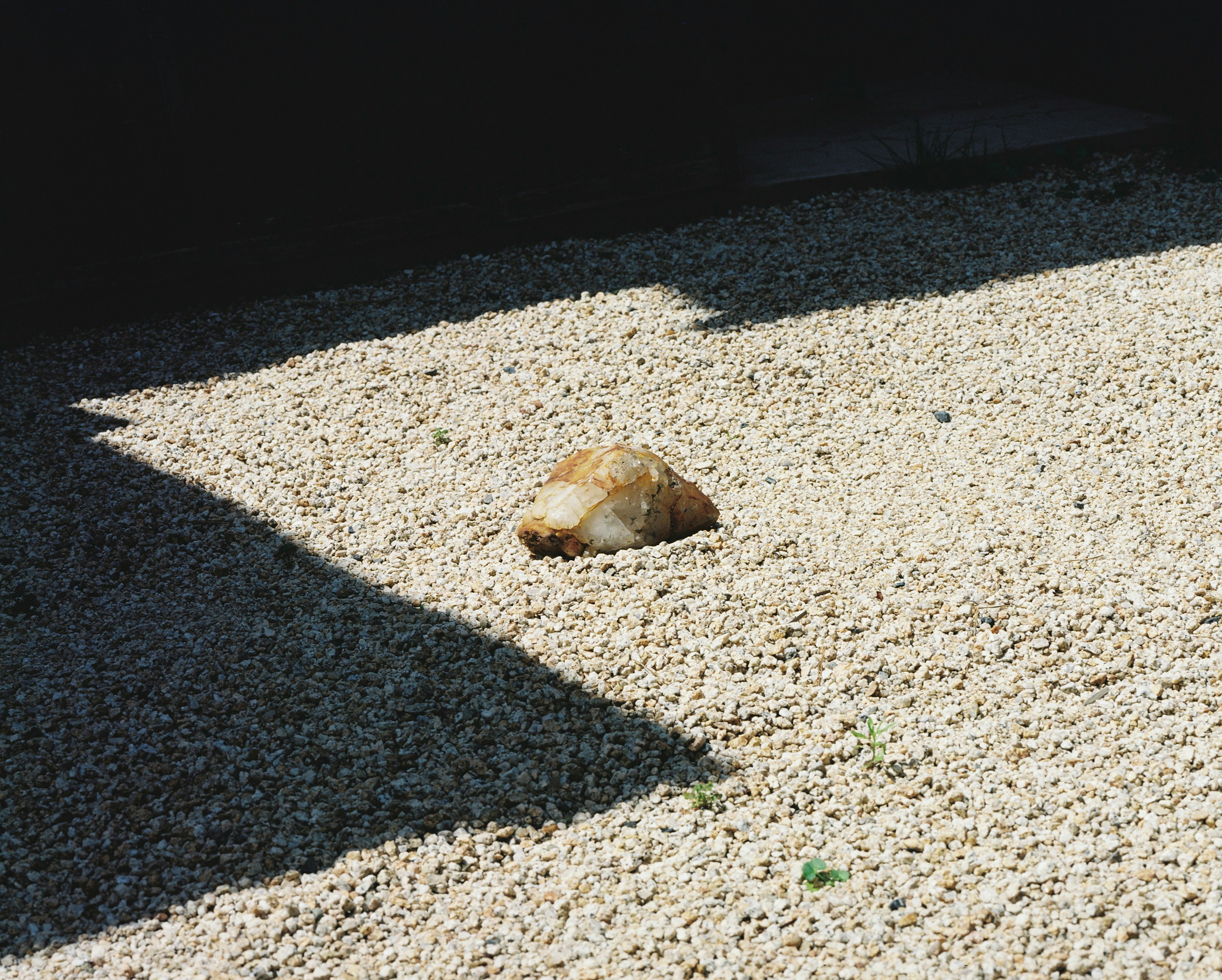 砂利の上にある小さな茶色の石