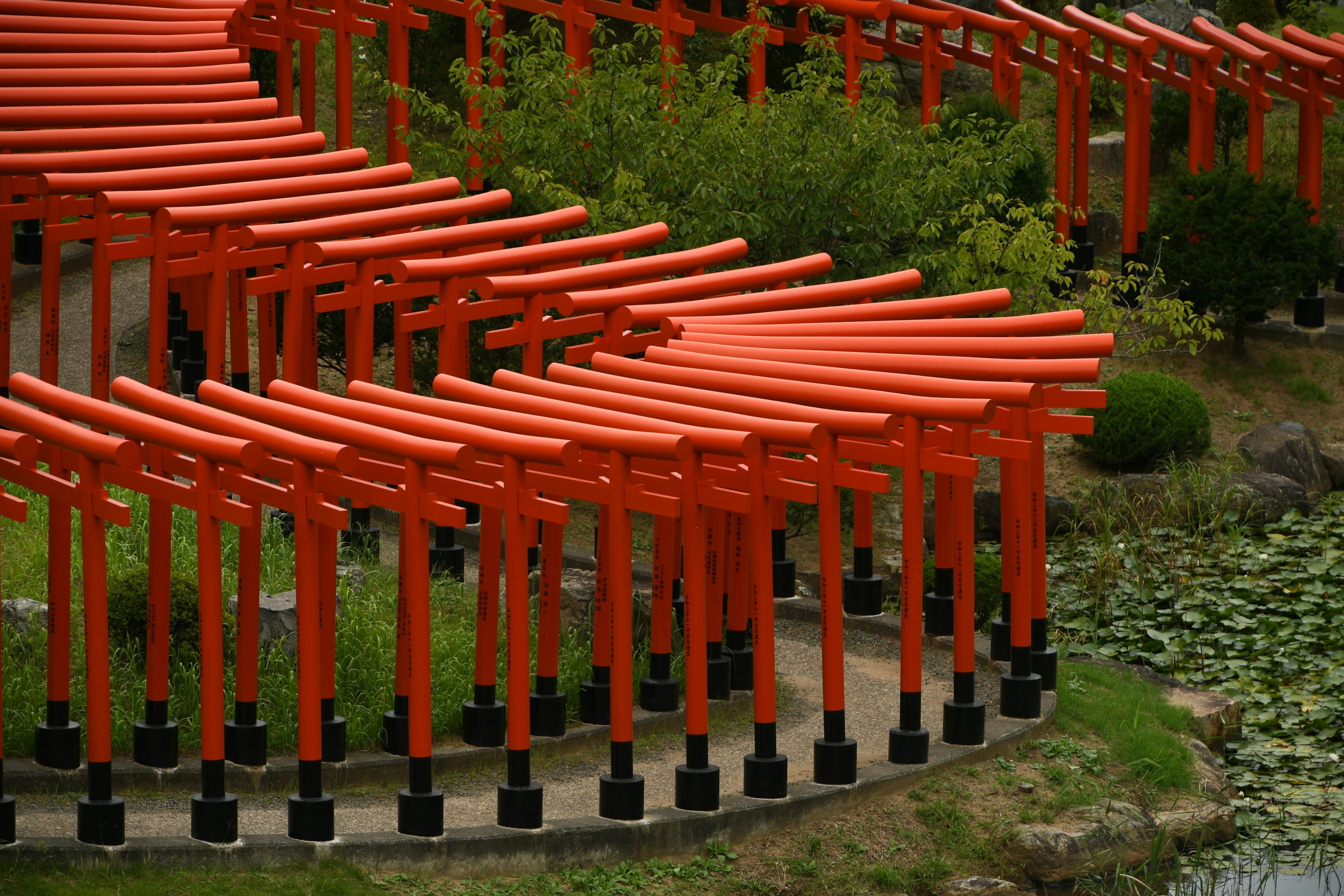 Pemandangan indah dengan deretan gerbang torii merah