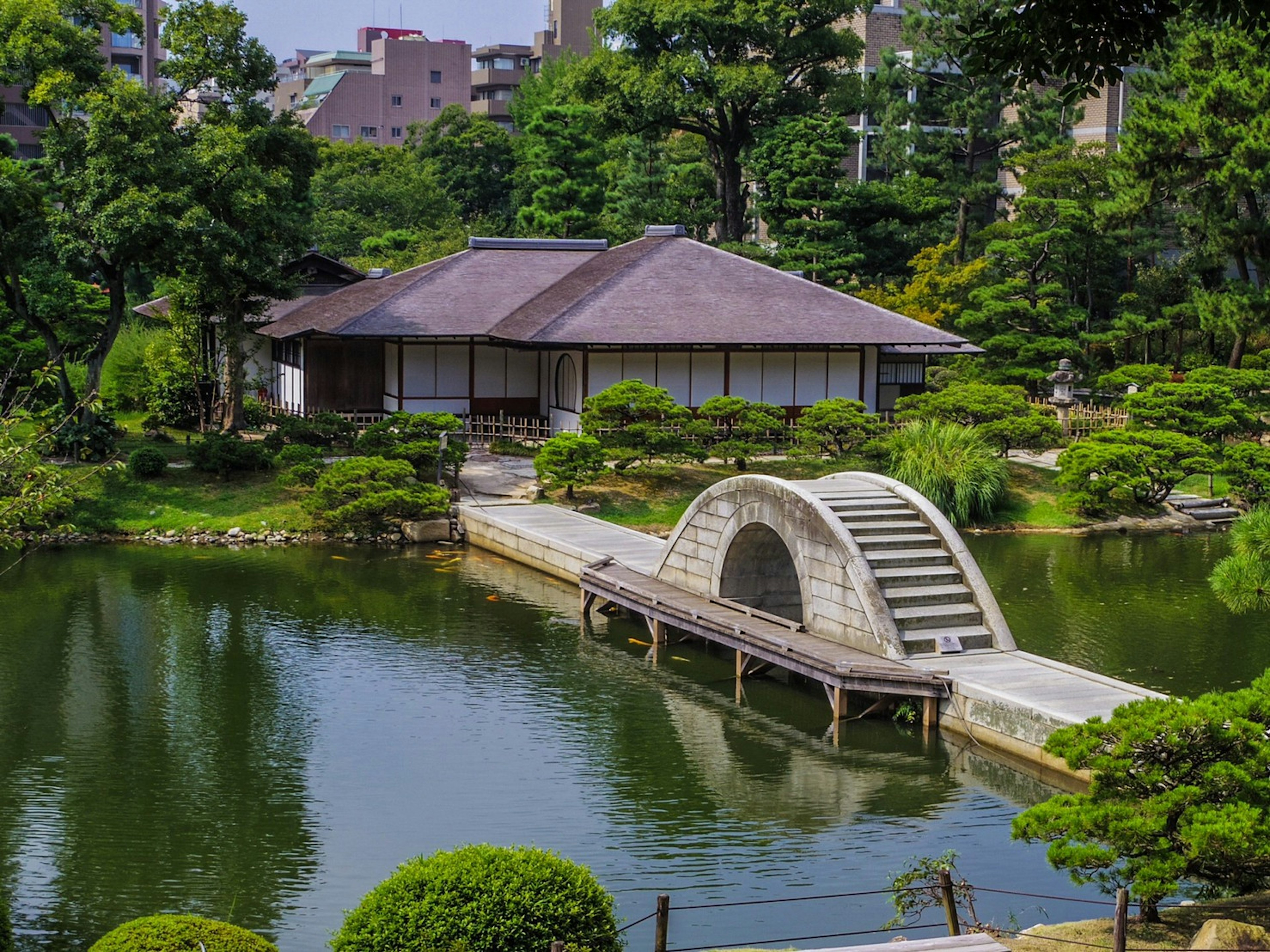 美麗的日本庭園，池塘上有拱形橋和傳統茶室