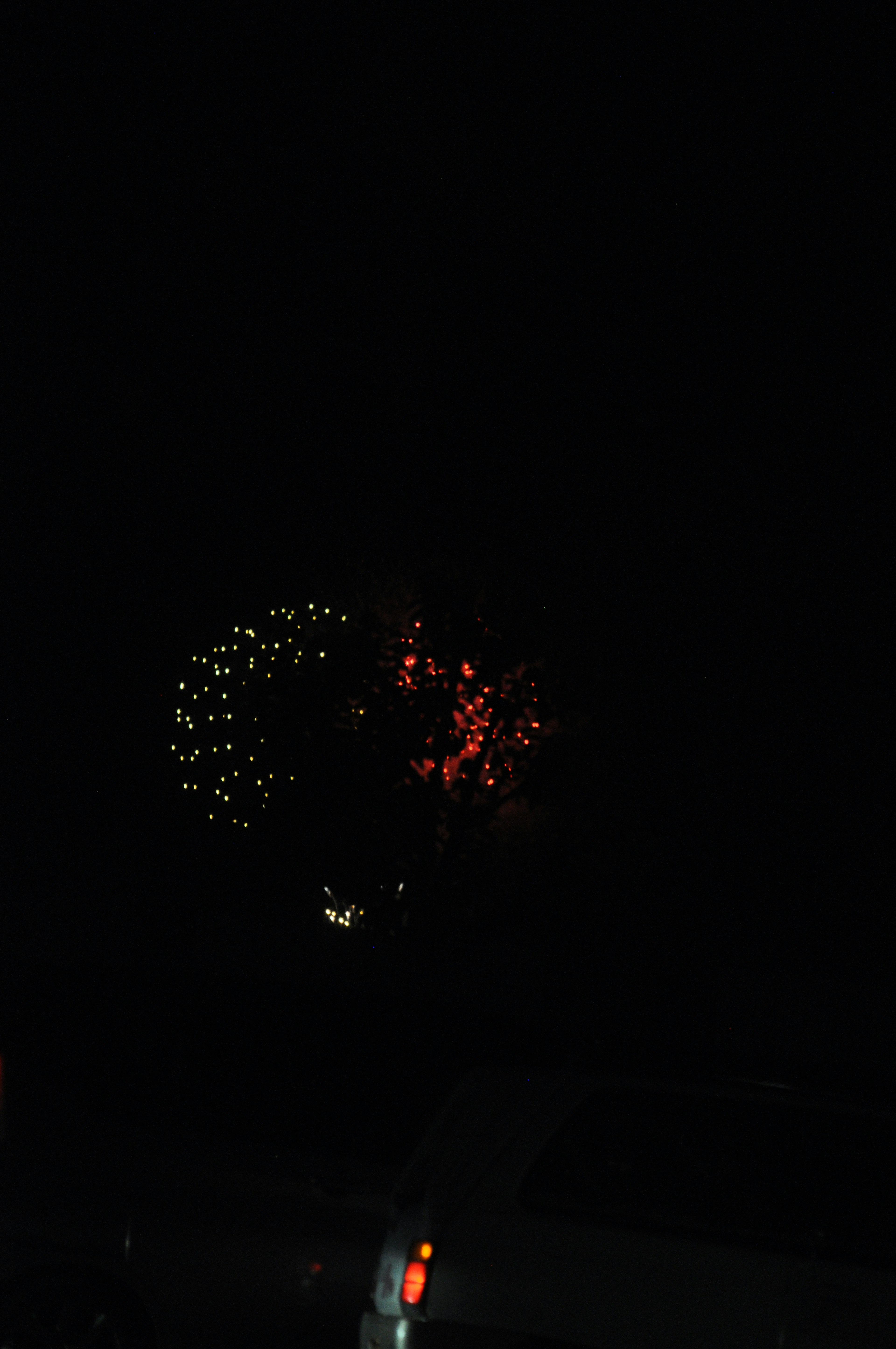 Fuochi d'artificio colorati che esplodono nel cielo notturno