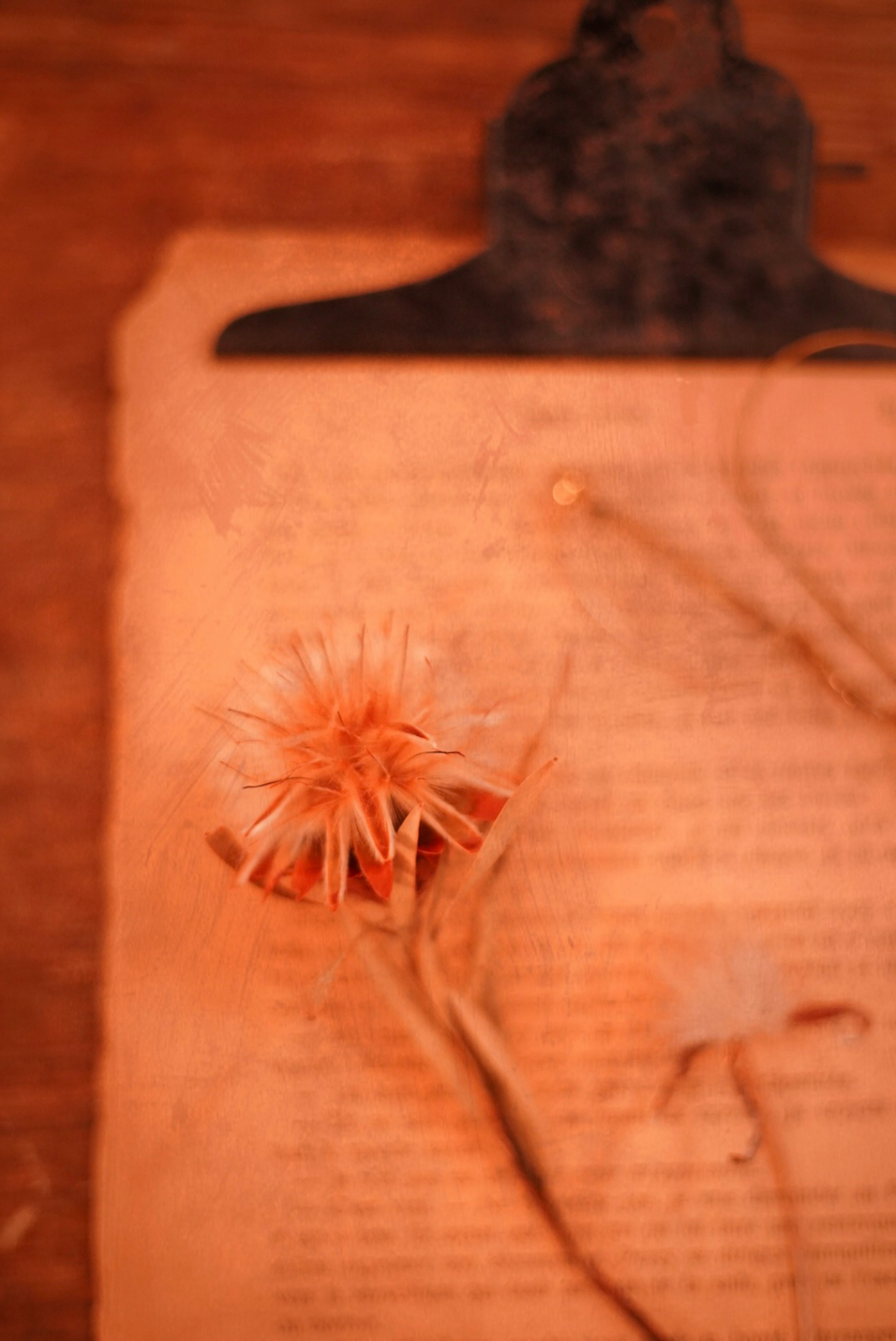 Getrocknete Blume auf einem alten Blatt Papier mit einer Klammer