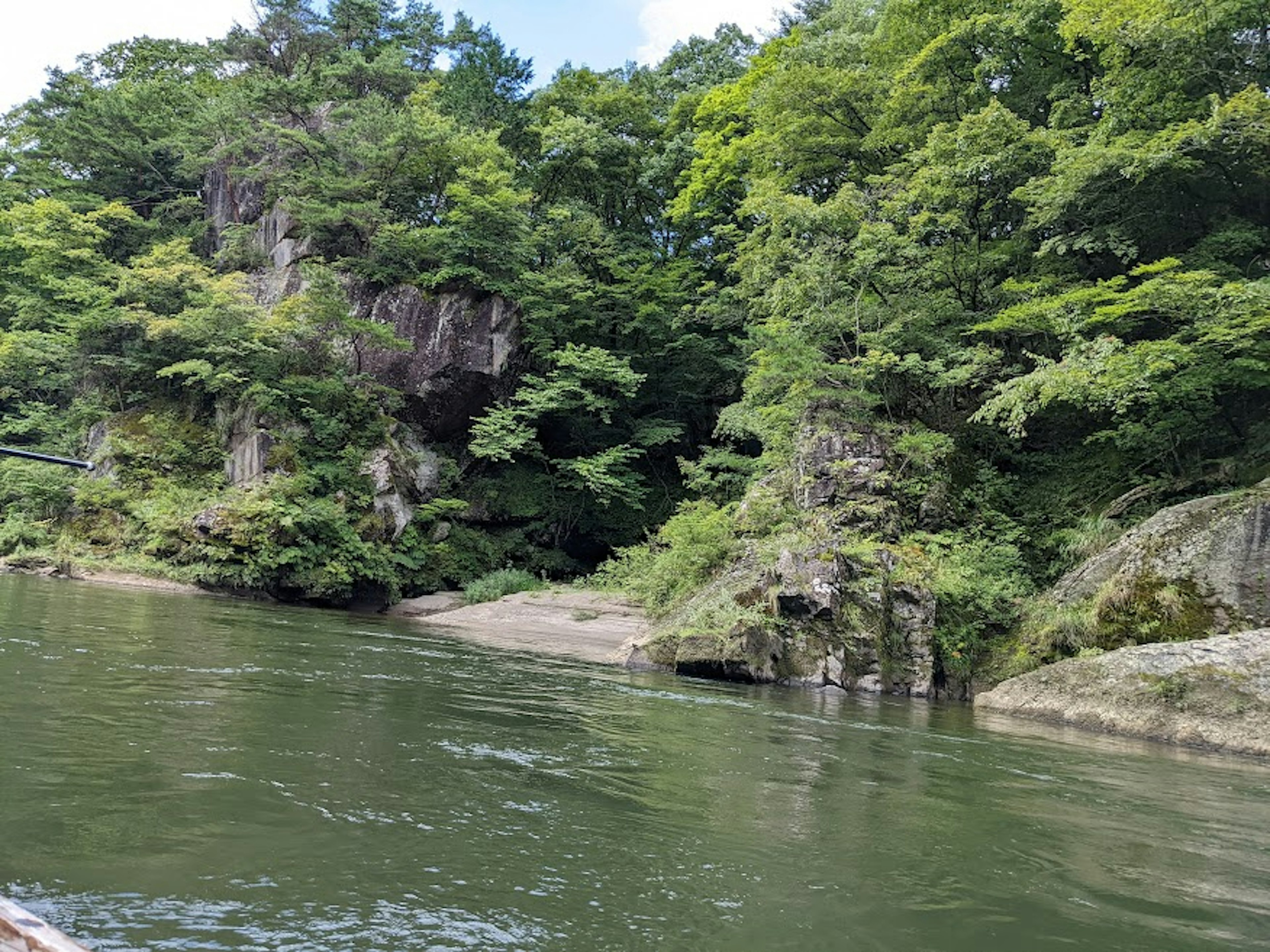 Paisaje de río sereno rodeado de árboles verdes exuberantes