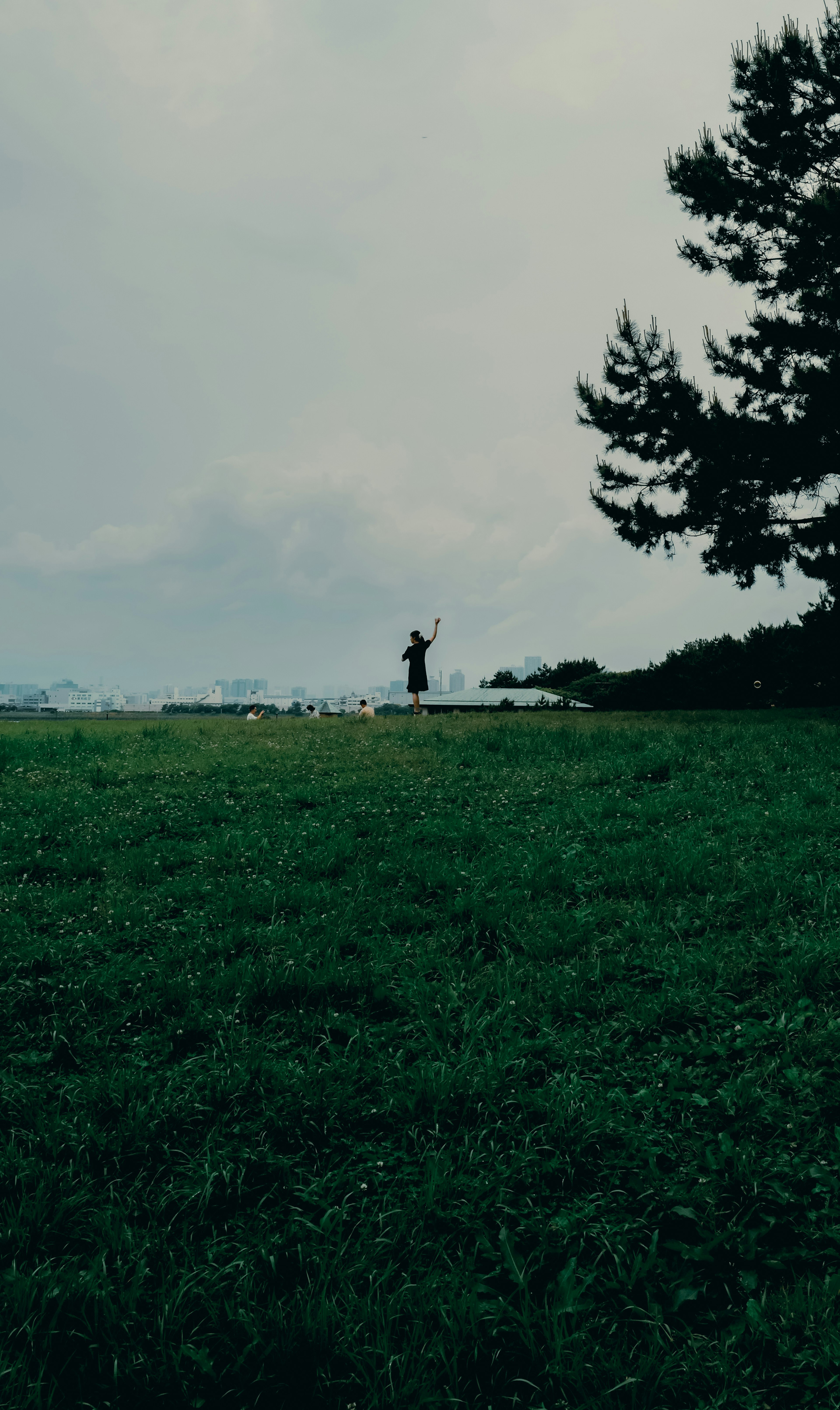 Silhouette einer Person, die auf einem grünen Feld steht, mit einem Baum im Hintergrund