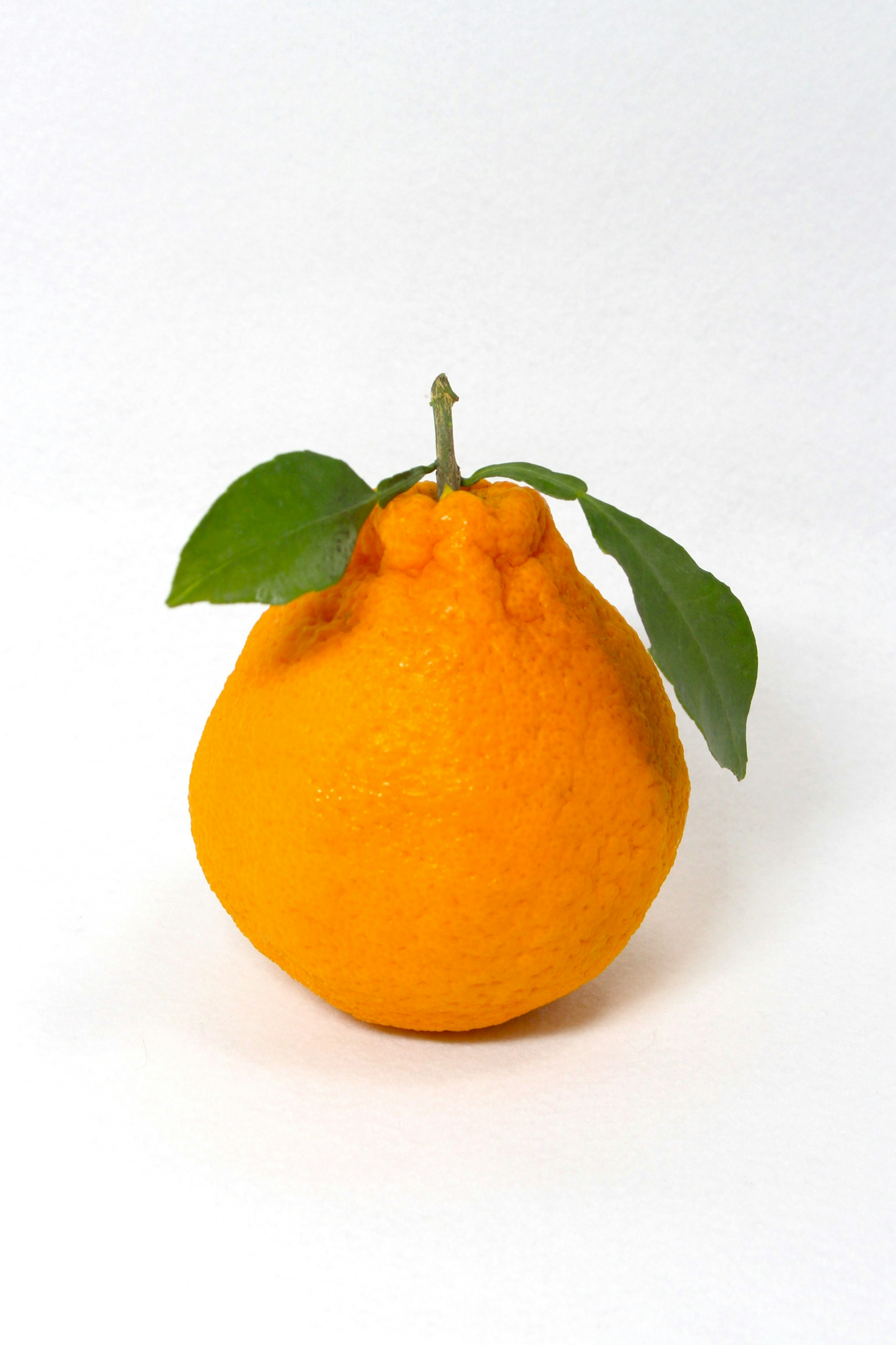 Vibrant orange fruit with a rounded shape and green leaves