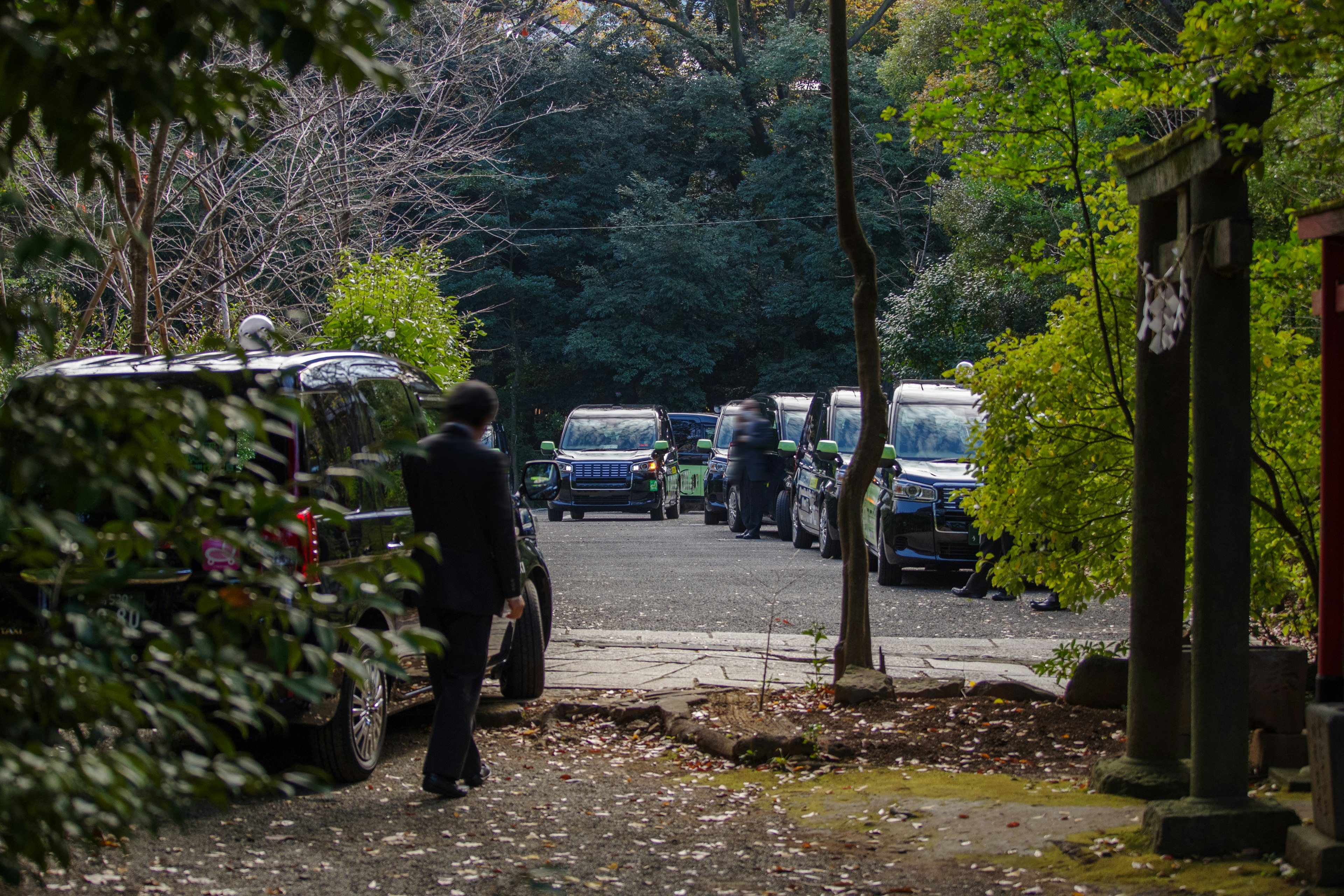 Eine Person, die auf einen ruhigen Waldweg zugeparkte Fahrzeuge geht