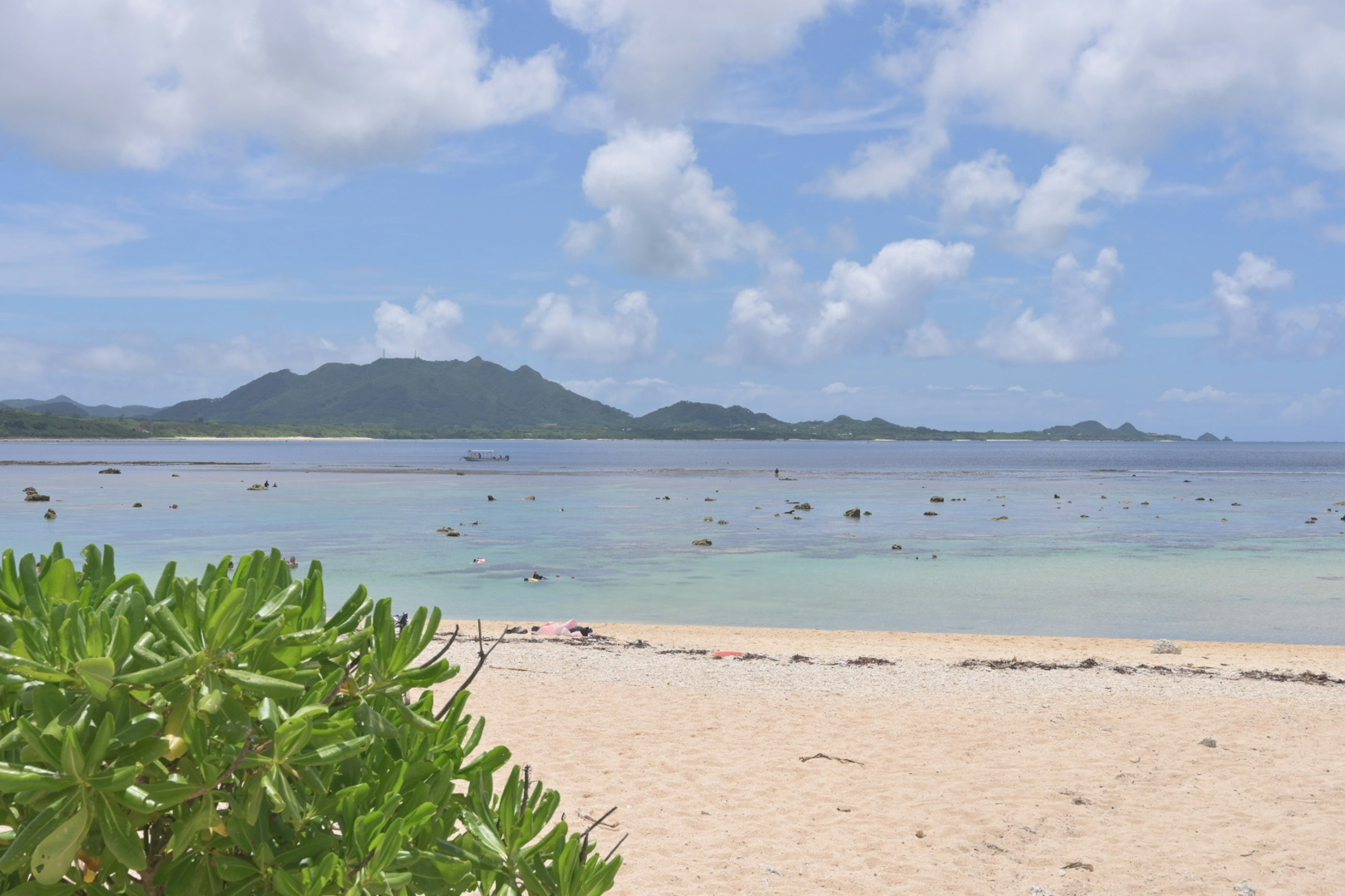 Scenic view of blue ocean and white sandy beach with green plants in the foreground