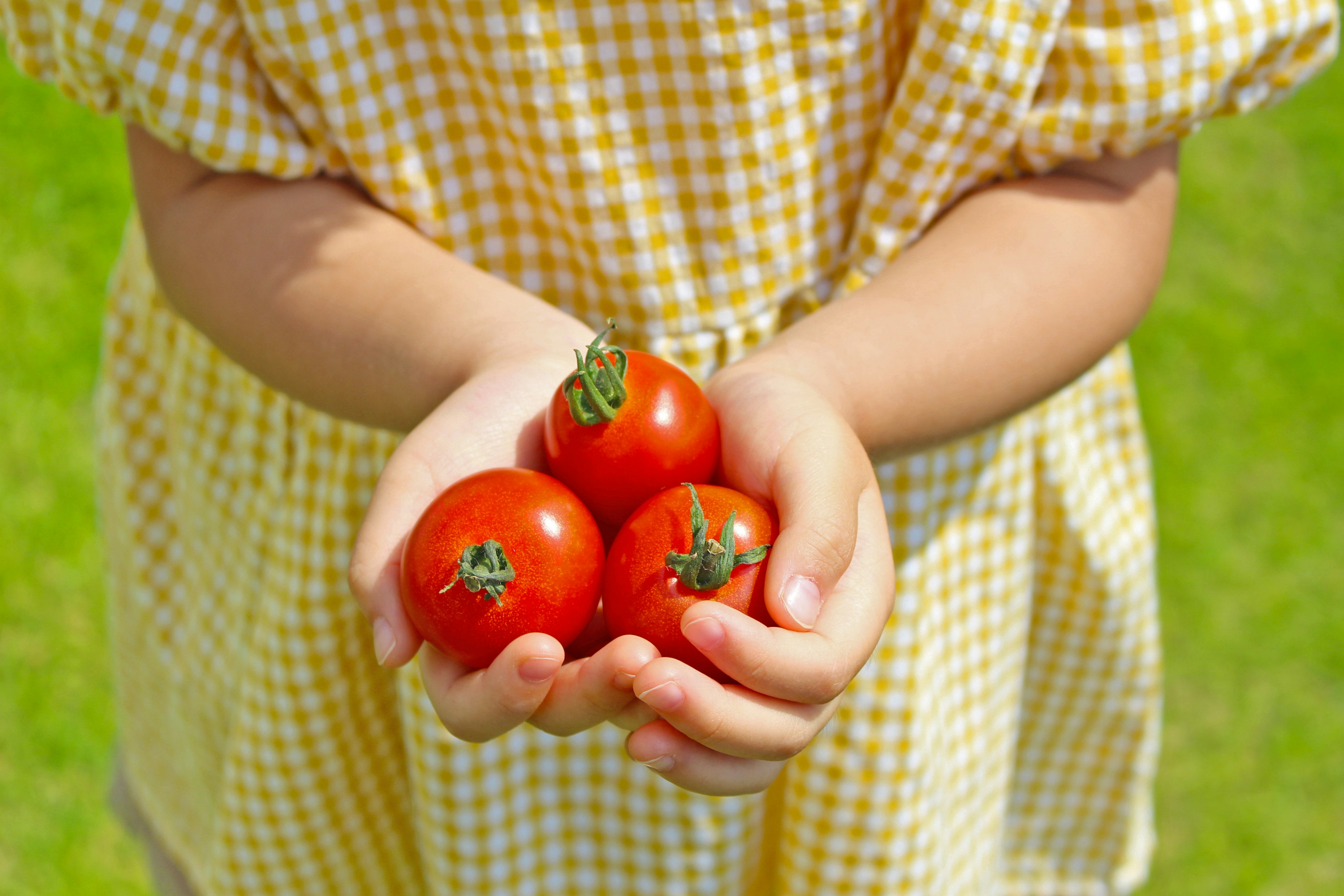 Niña con vestido a cuadros amarillos sosteniendo tomates frescos